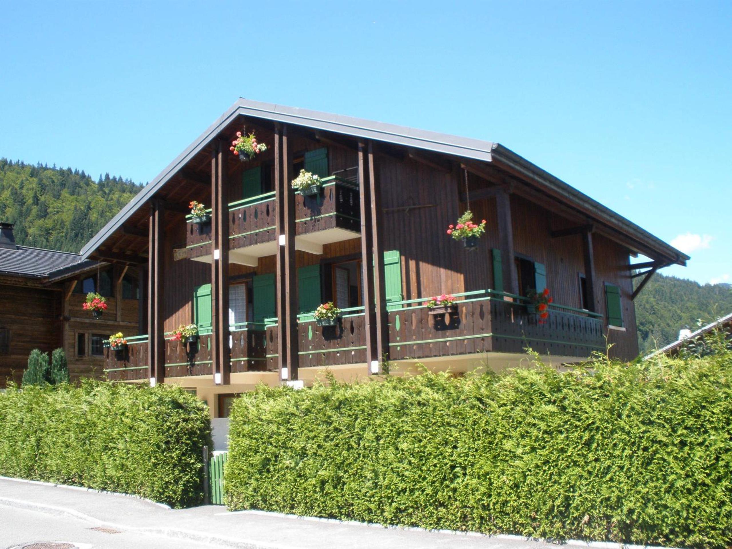 Chalet le Feufy view 2