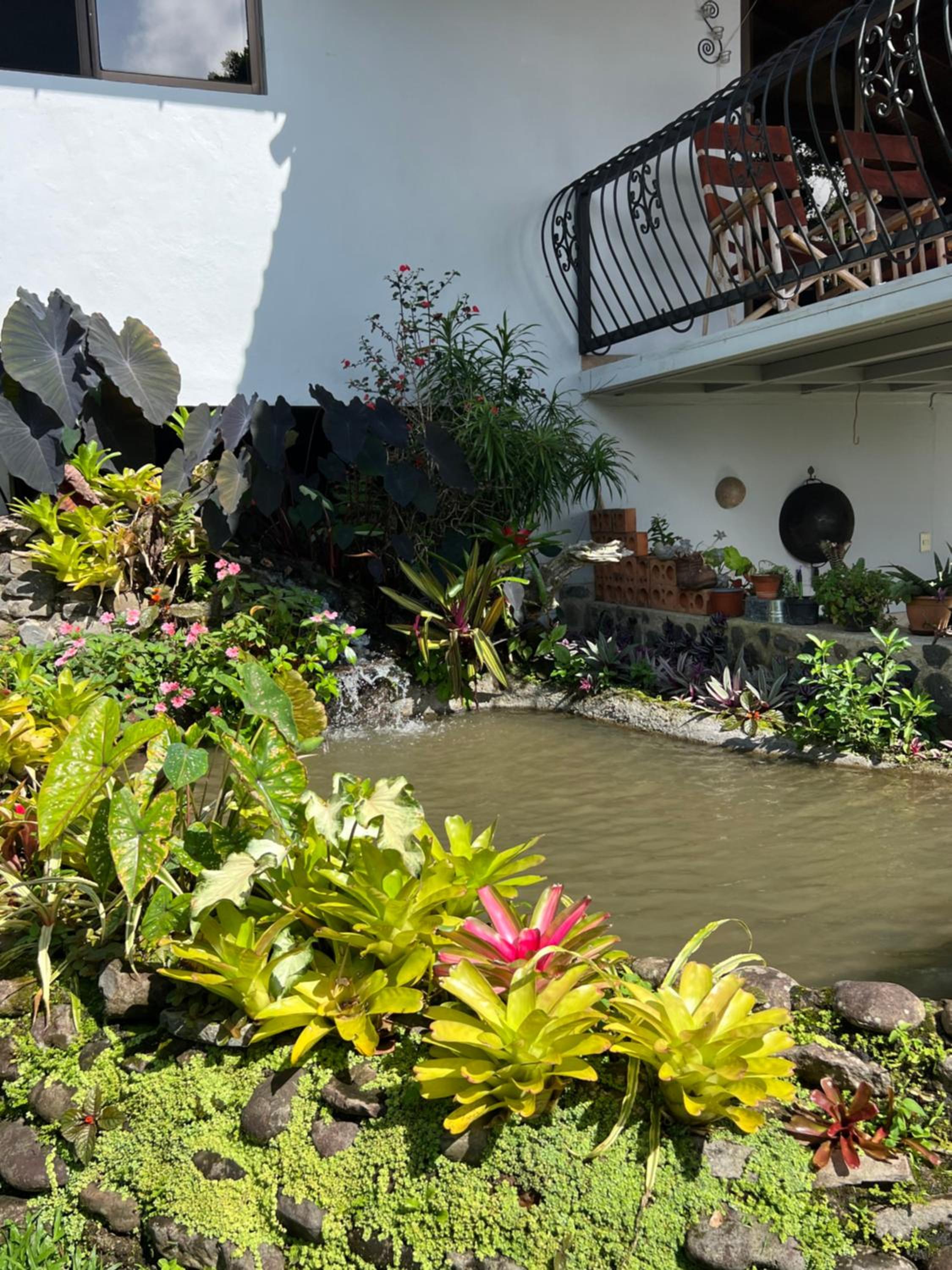 Bromelia House