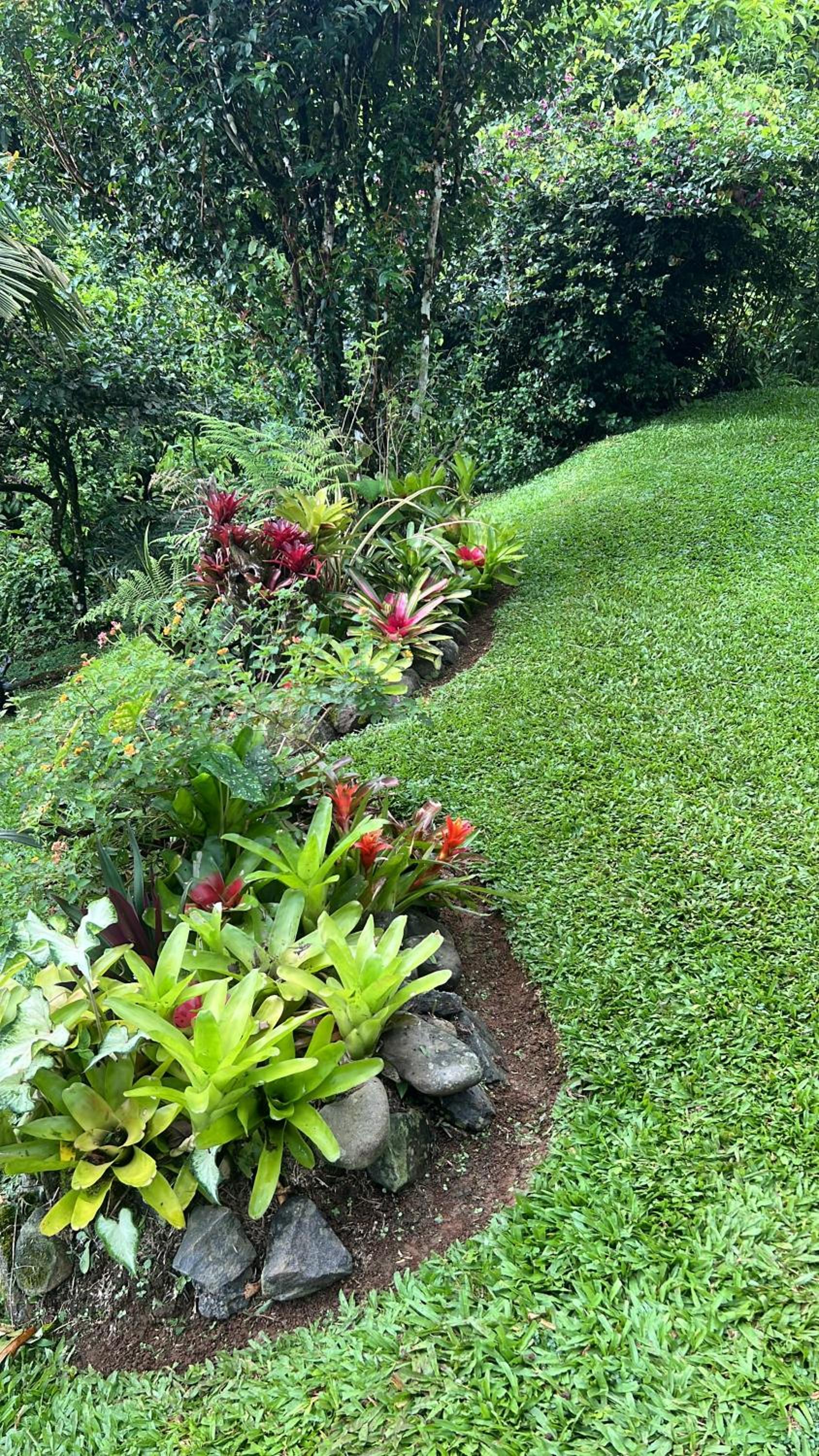 Bromelia House