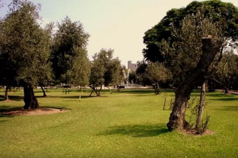 B&B El Olivar