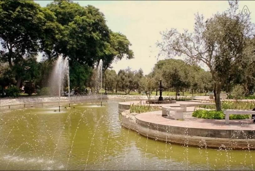 B&B El Olivar