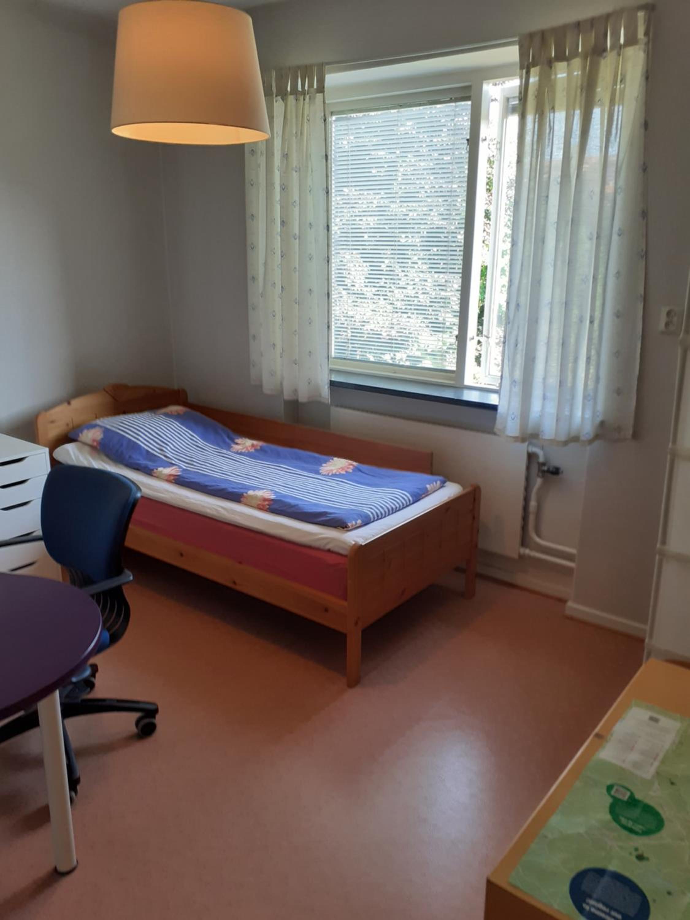 Photo 15