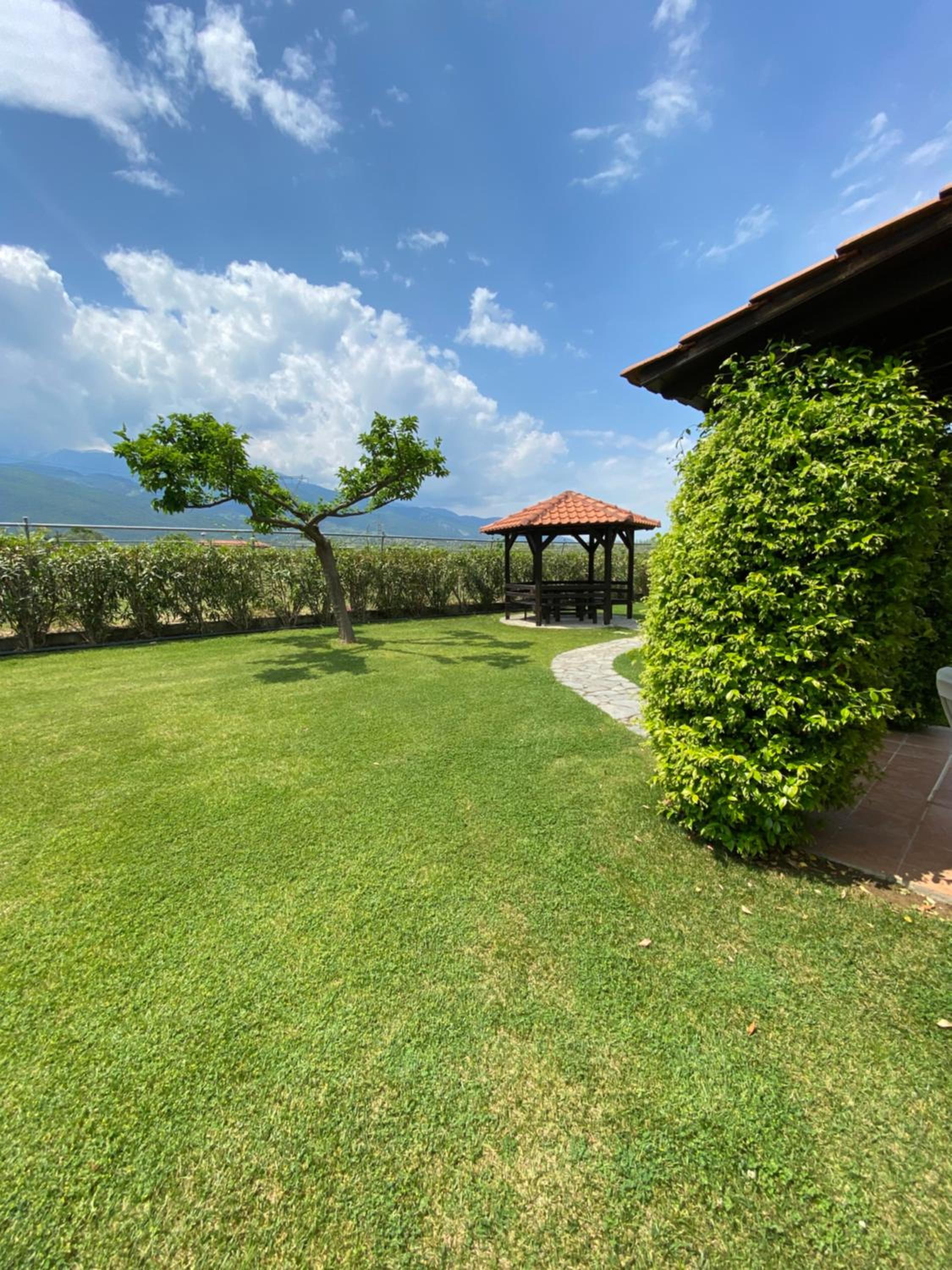 Photo 24