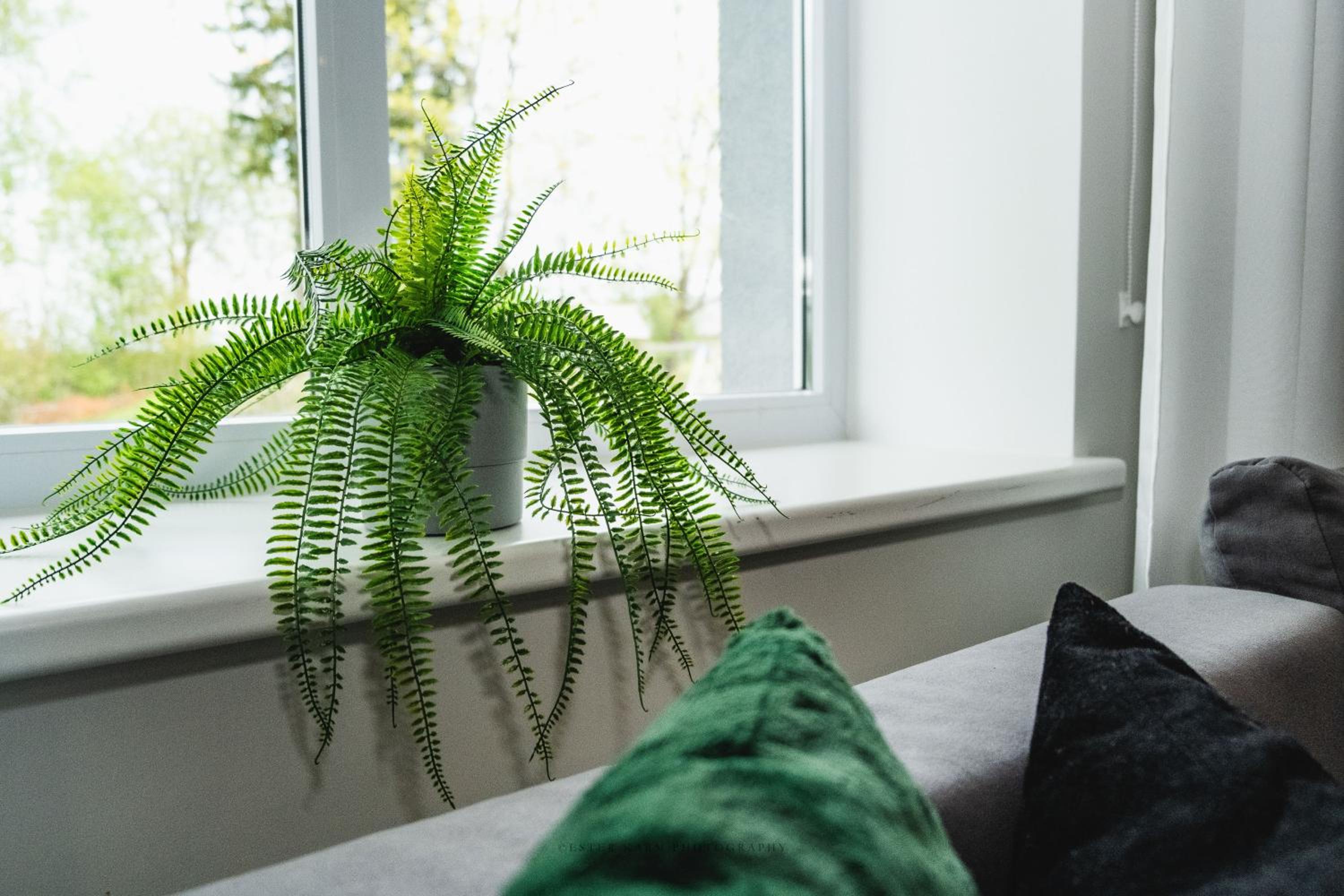 Pinska Family Apartment