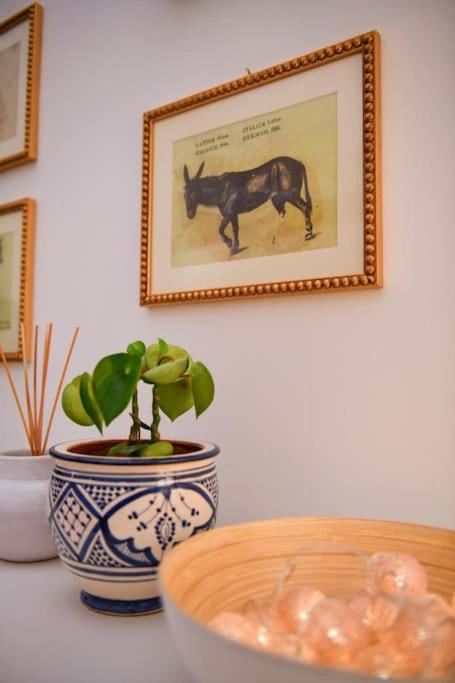Apartment near Termini and Piazza Sallustio