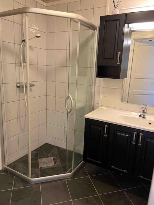 Rekkehus i Myrkdalen