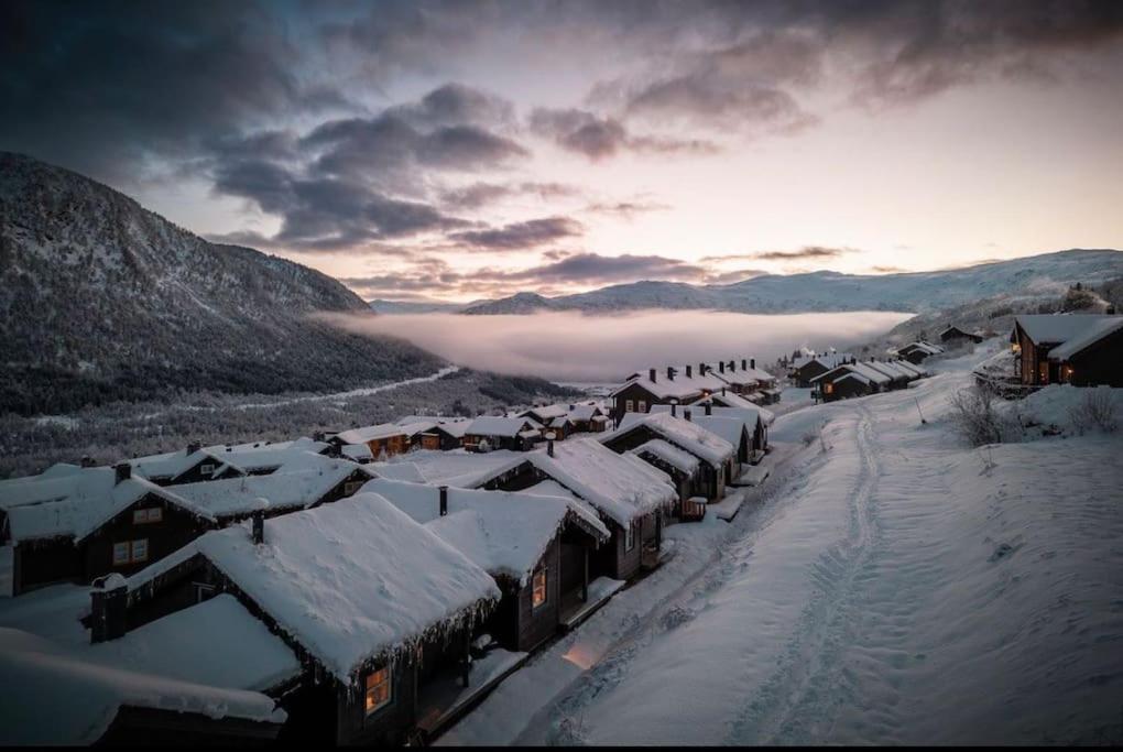 Rekkehus i Myrkdalen