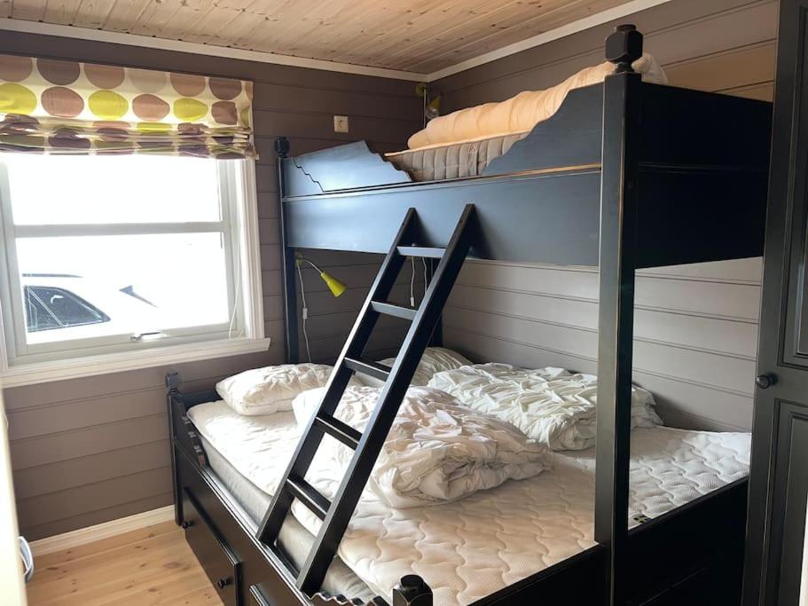 Rekkehus i Myrkdalen