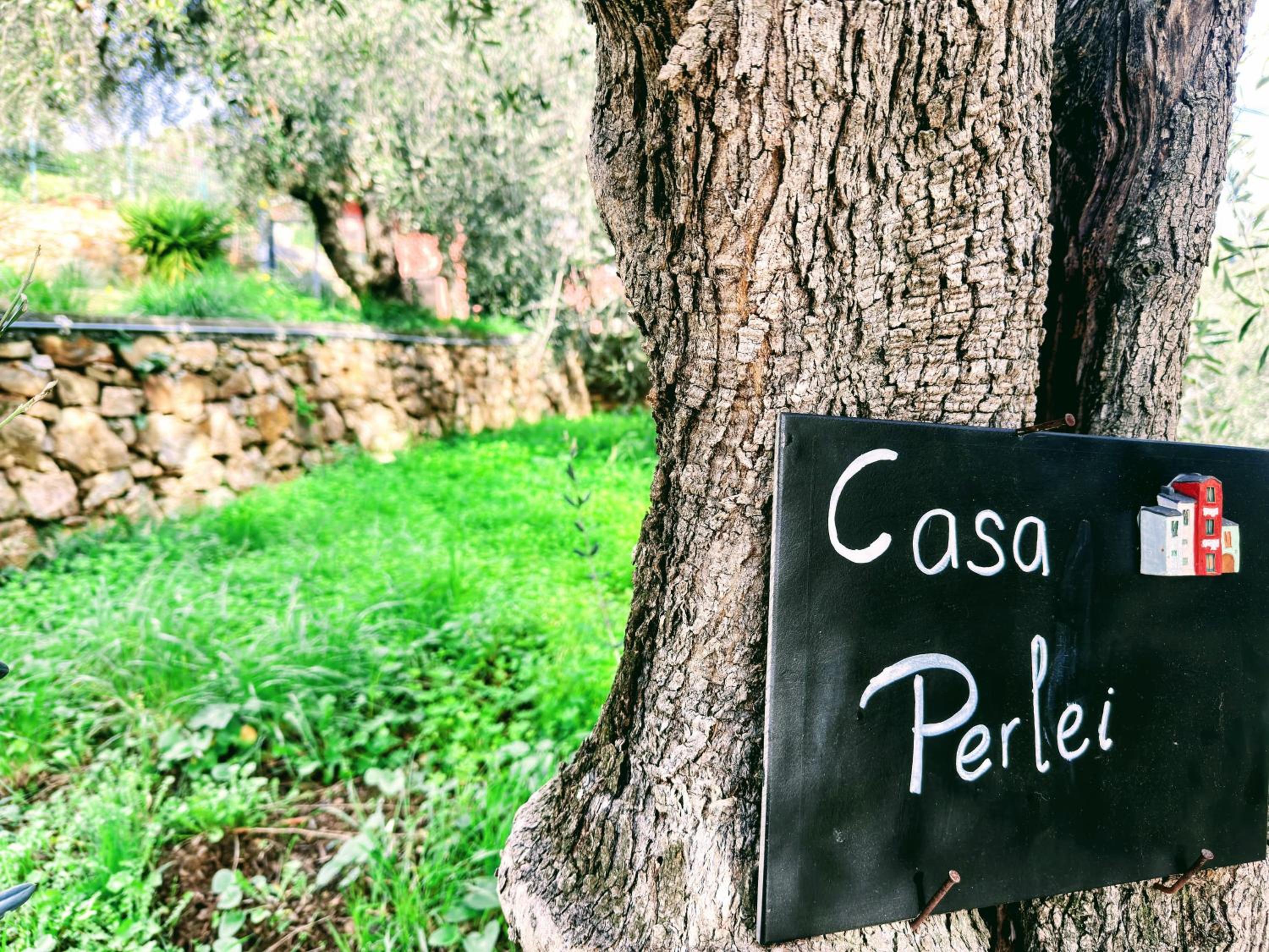 Casa Perlei view 5