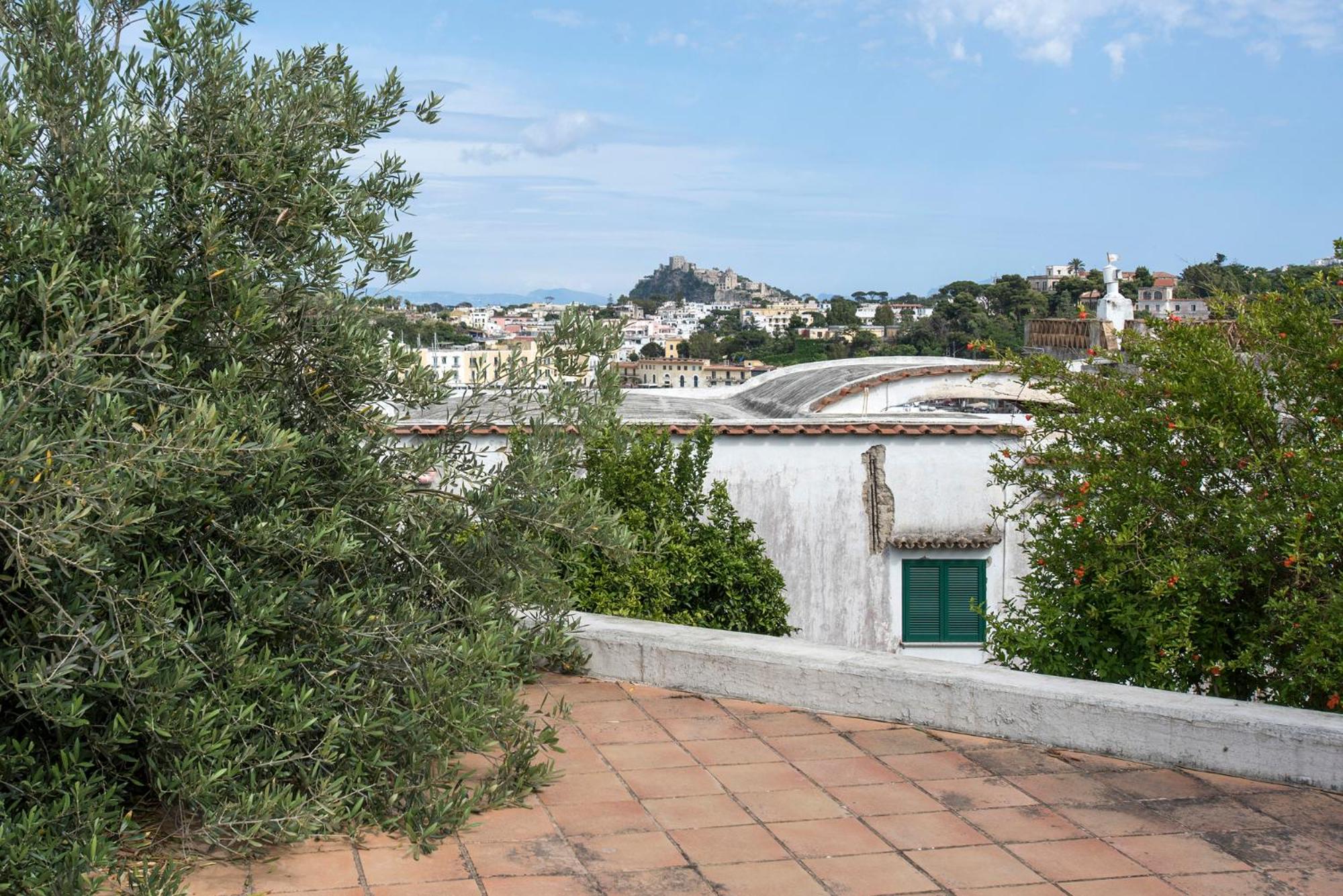 roof