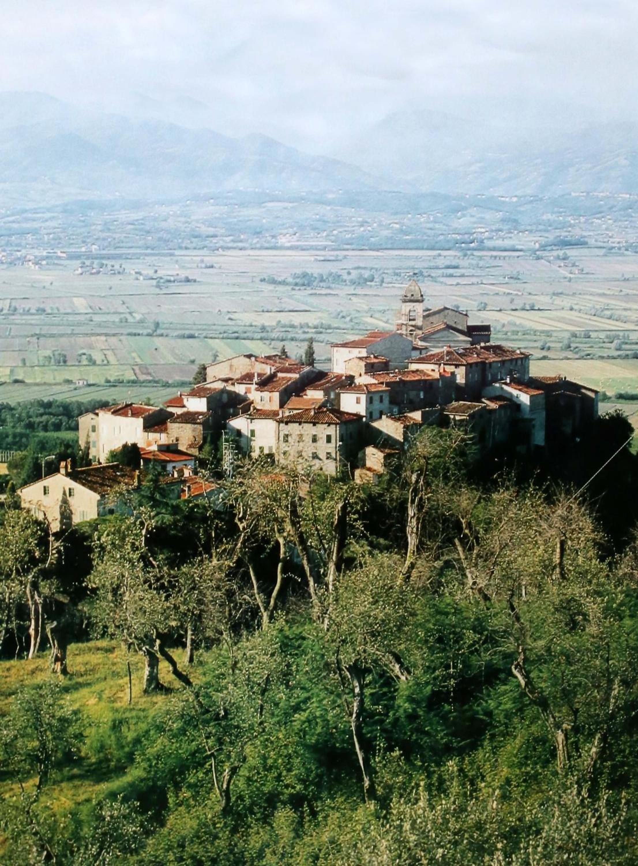 Photo 49