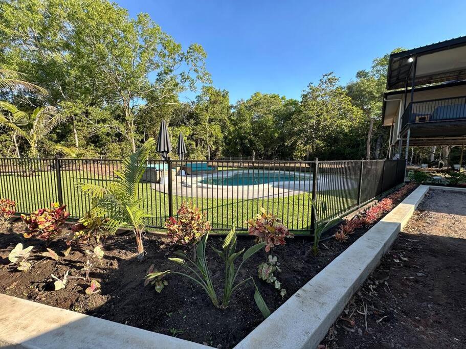 Oasis by Anglers Choice