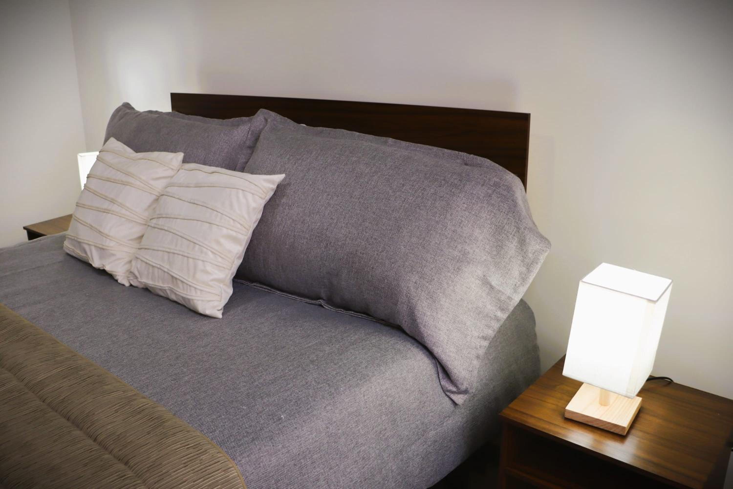 HOM I Acogedor Departamento 1D1B en Santiago