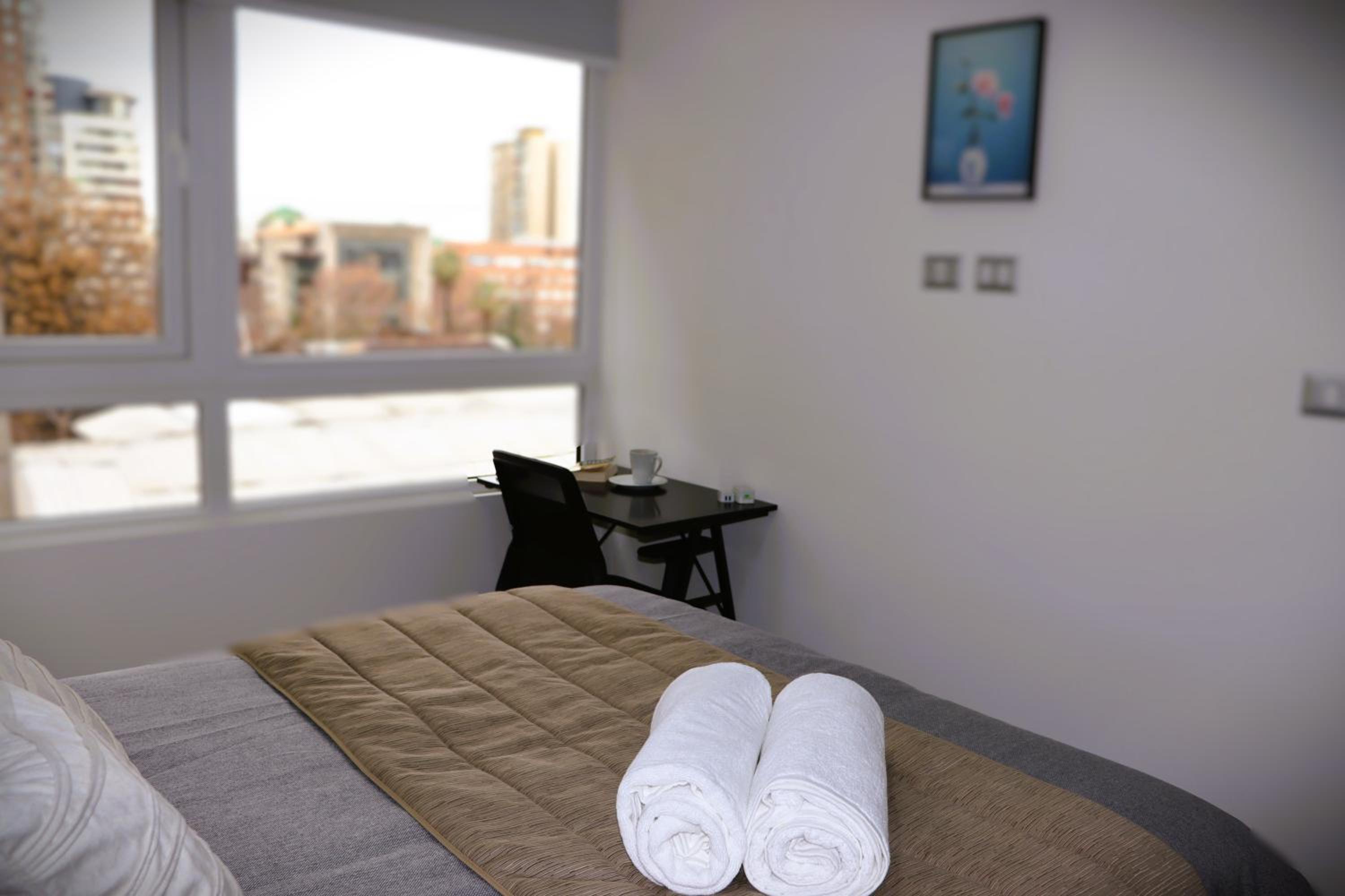 HOM I Acogedor Departamento 1D1B en Santiago