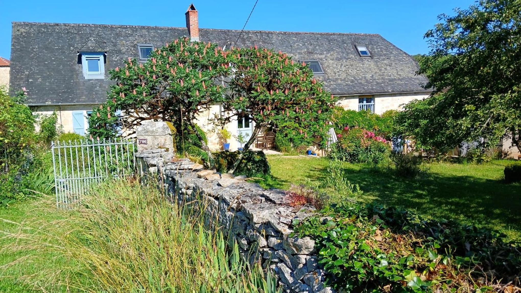 Sous la glycine
