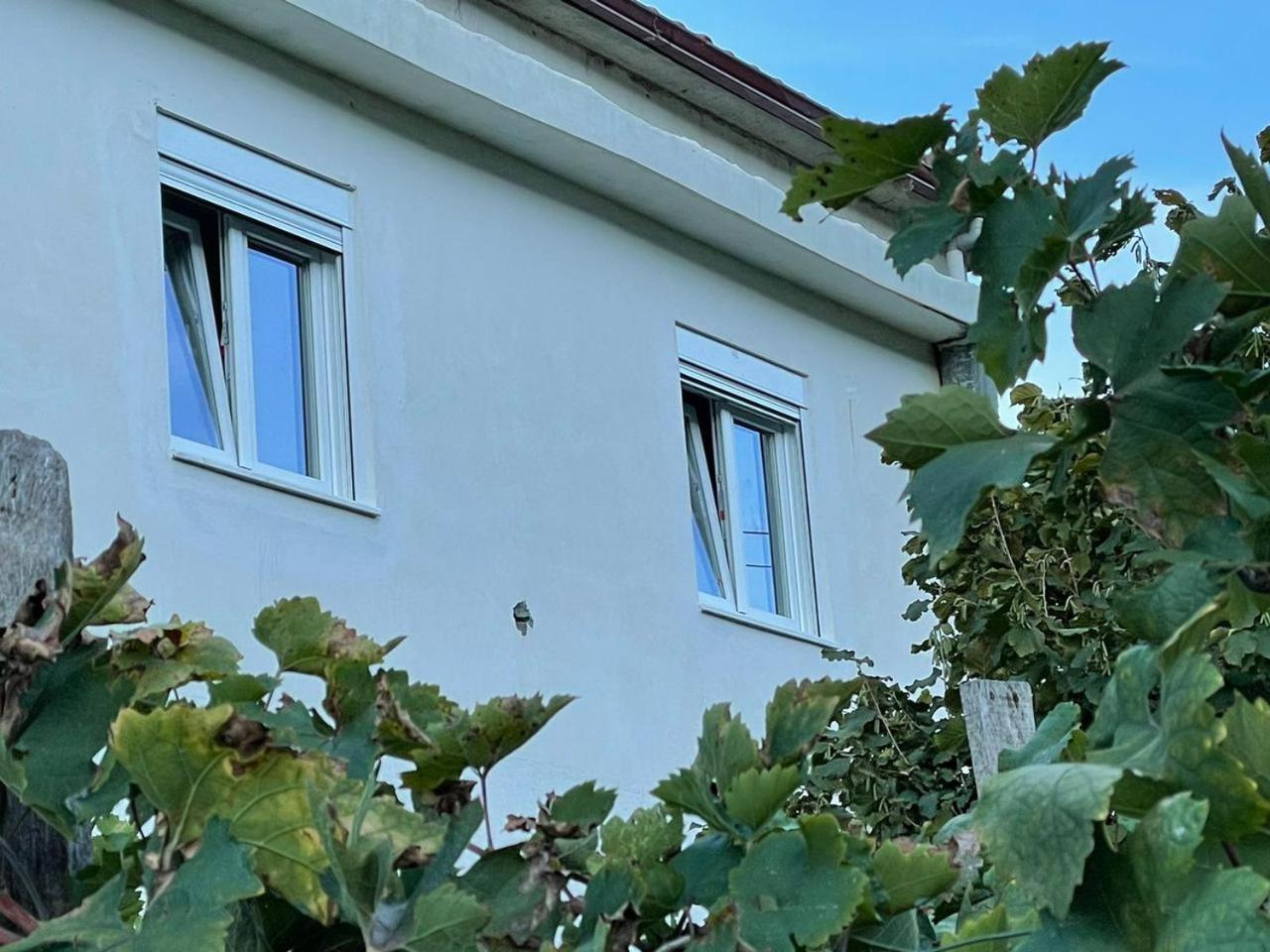 Vacation Home Ilia