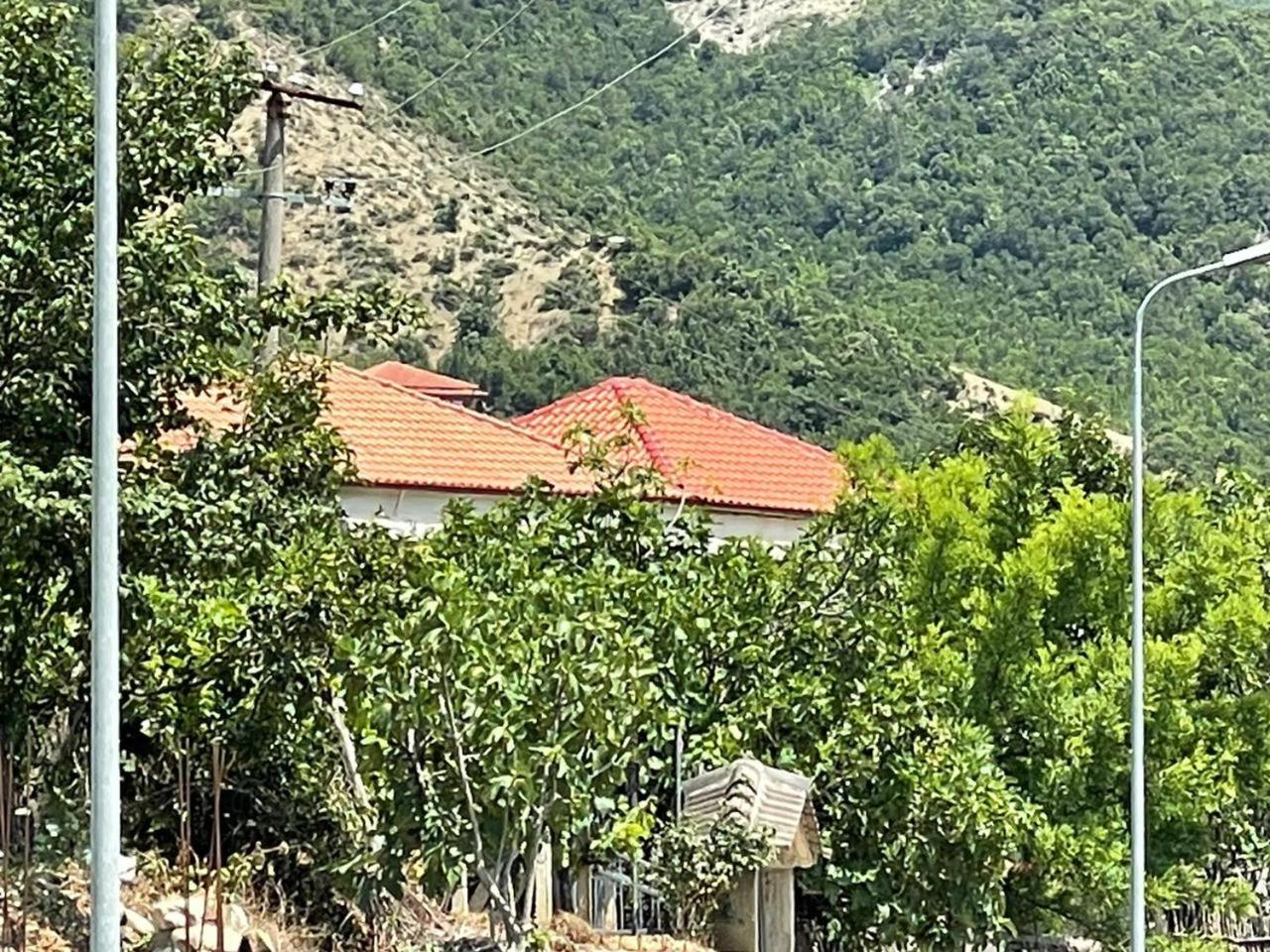 Vacation Home Ilia
