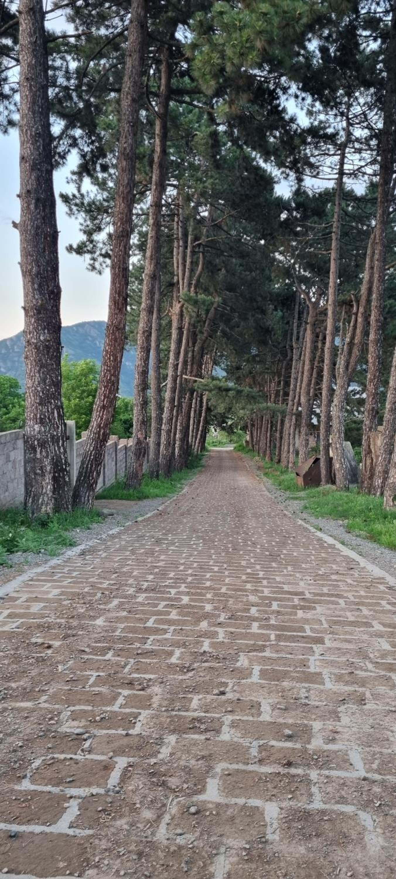 Hooni_guesthouse
