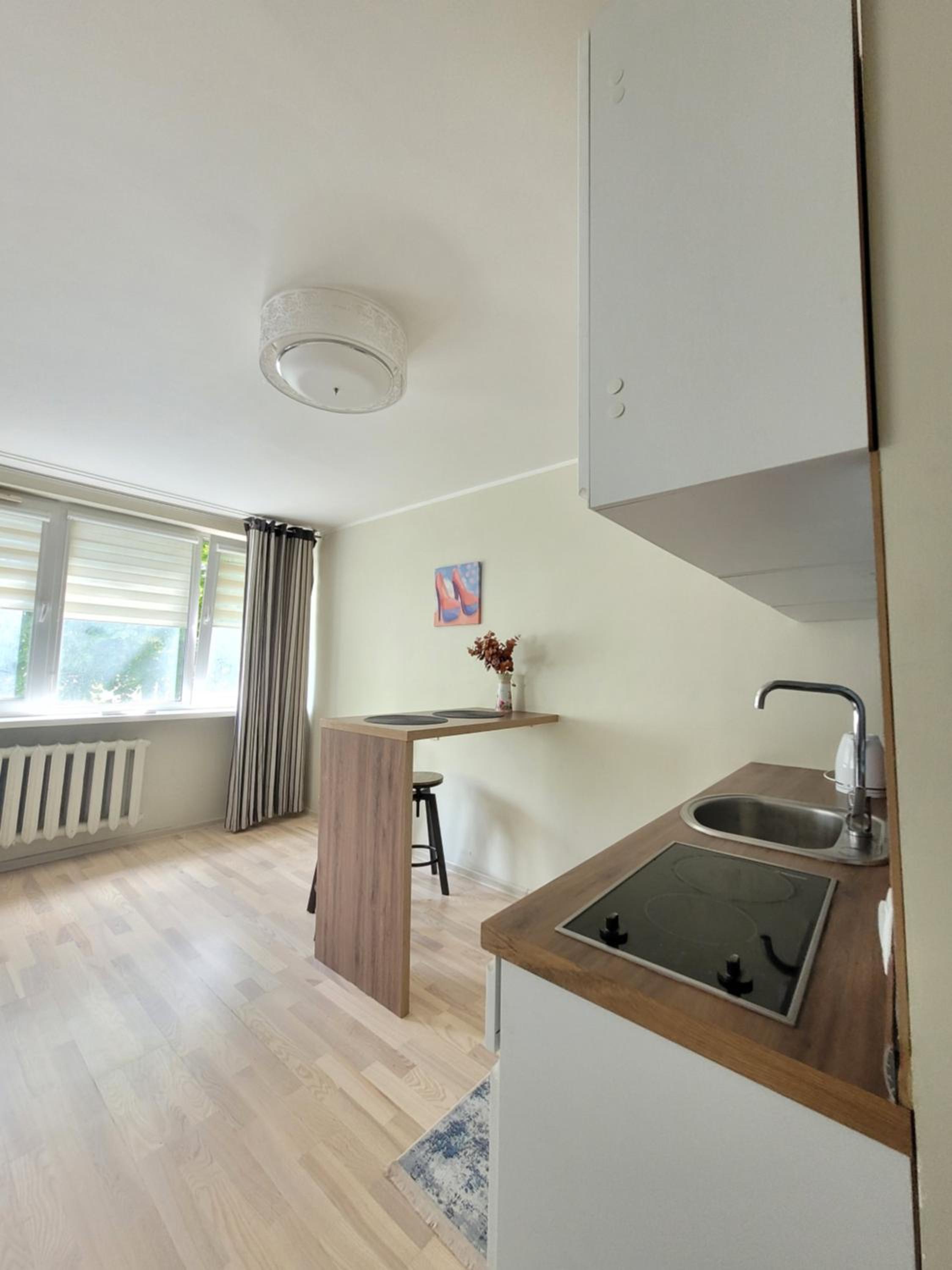 Giedres Linkuva Apartments with Private Entrance view 2