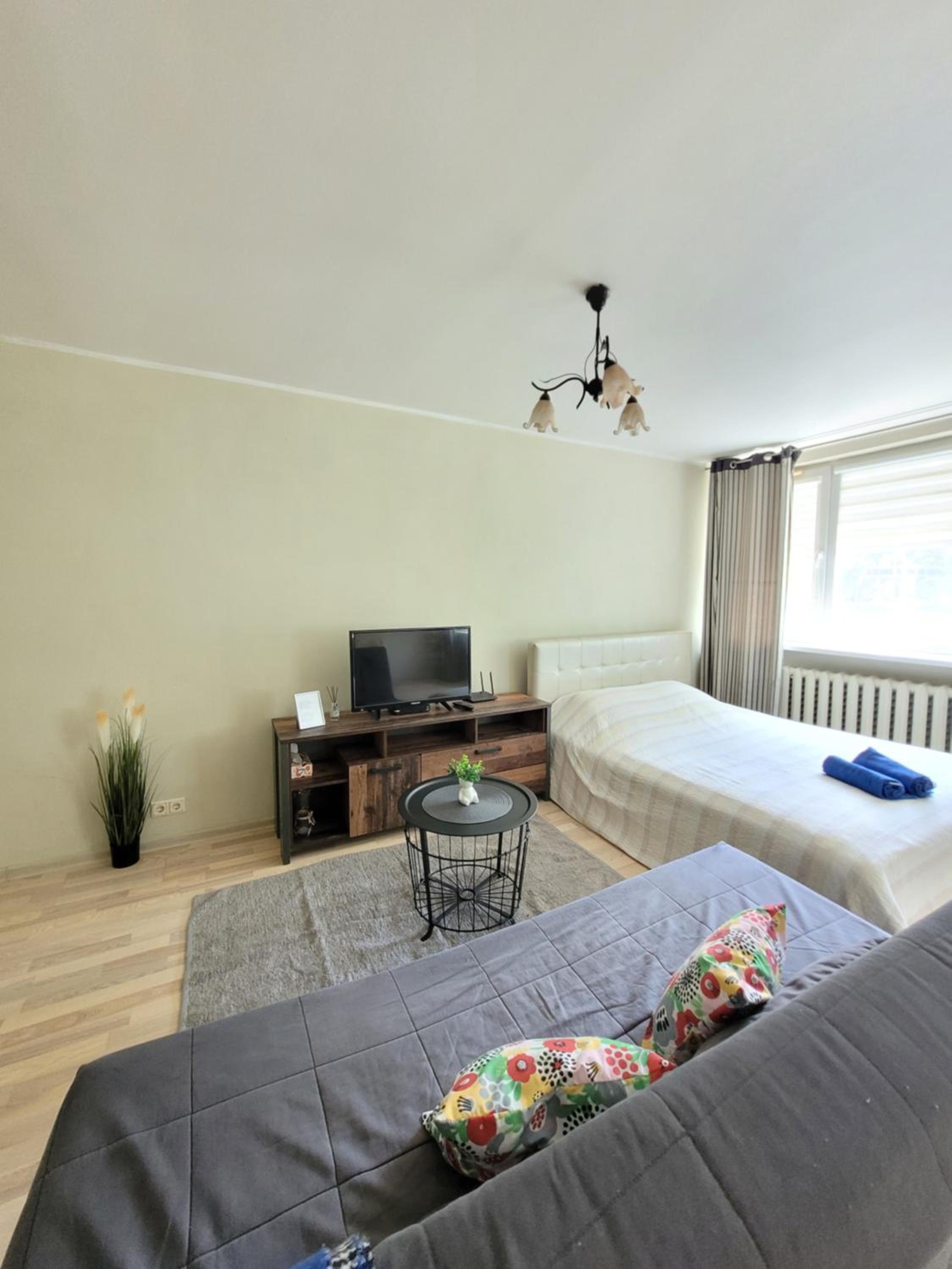 Giedres Linkuva Apartments with Private Entrance view 3