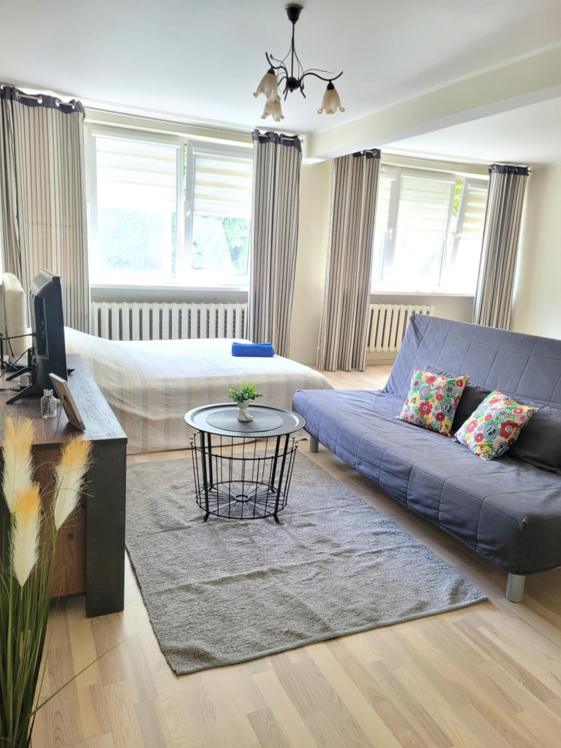 Giedres Linkuva Apartments with Private Entrance view 4