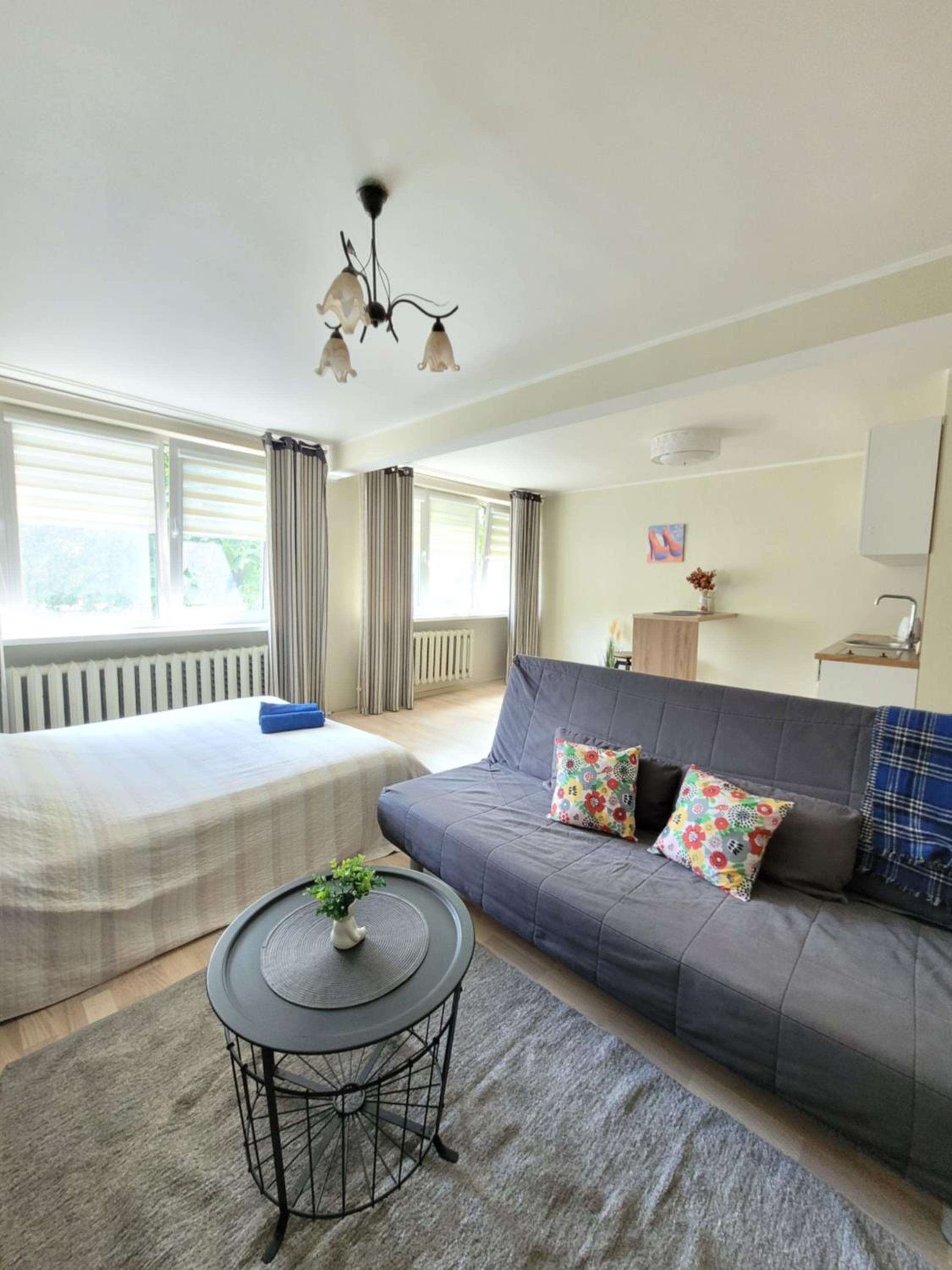 Giedres Linkuva Apartments with Private Entrance view 5
