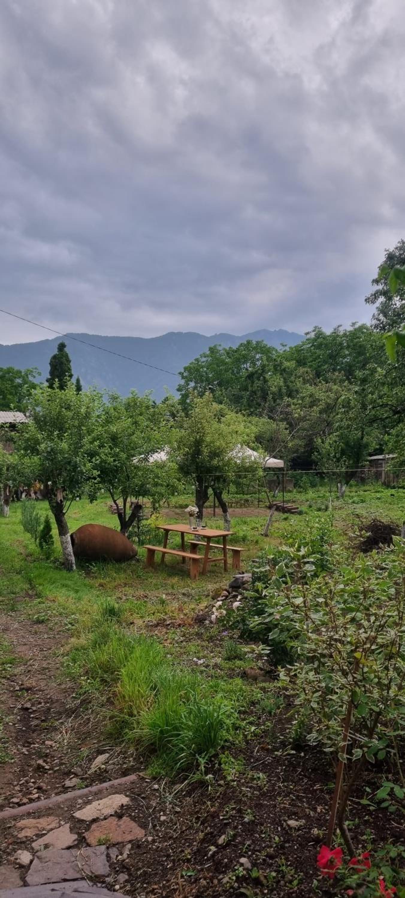 Hooni_guesthouse