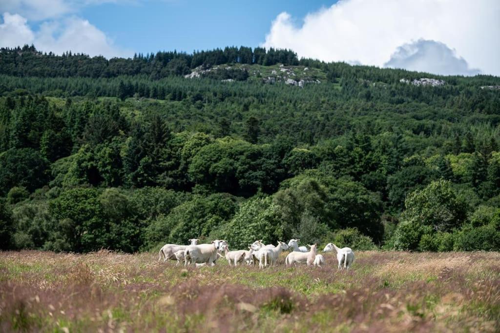 Ballyknocken Cottage