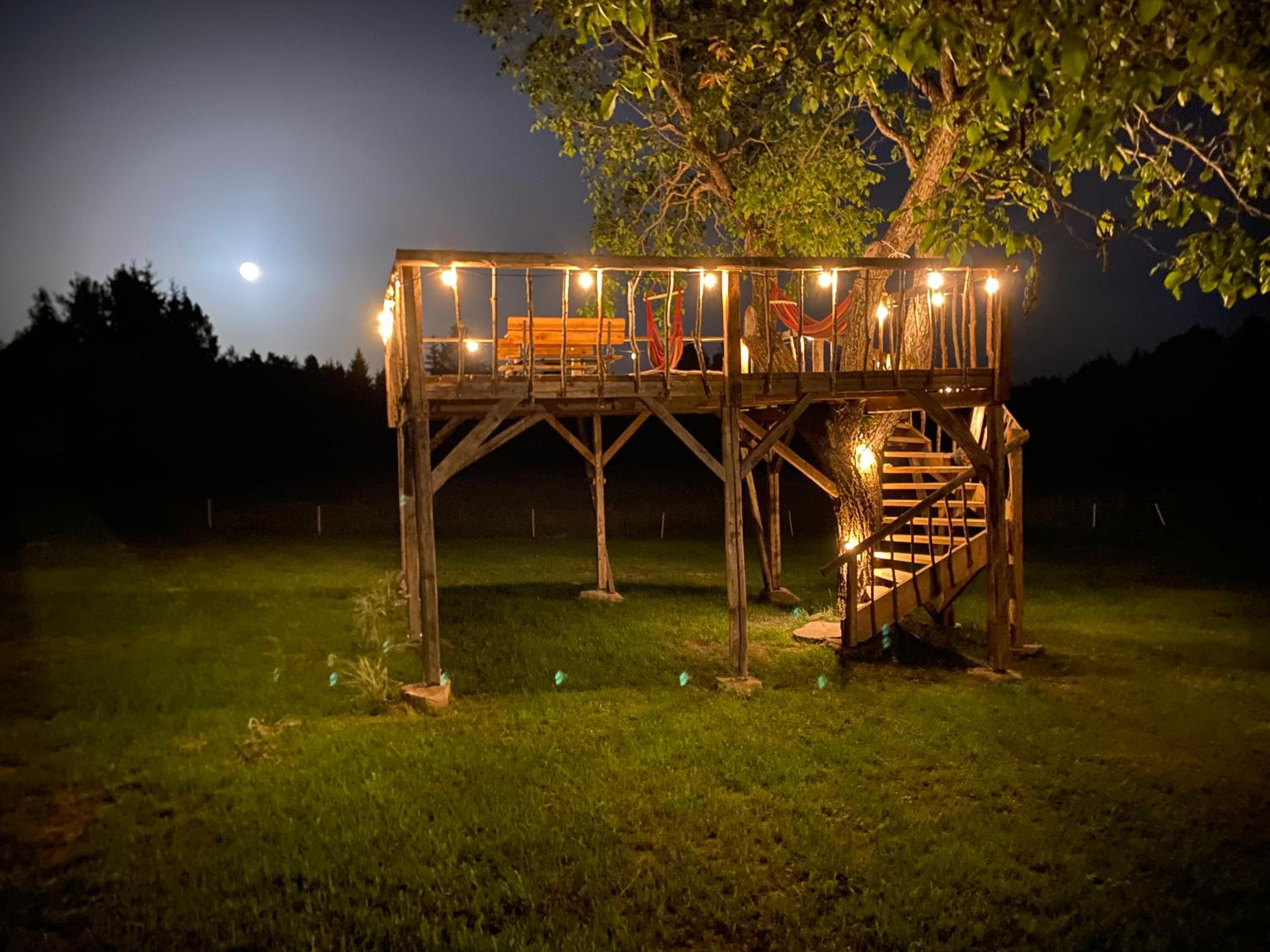 Holiday Nature House view 5