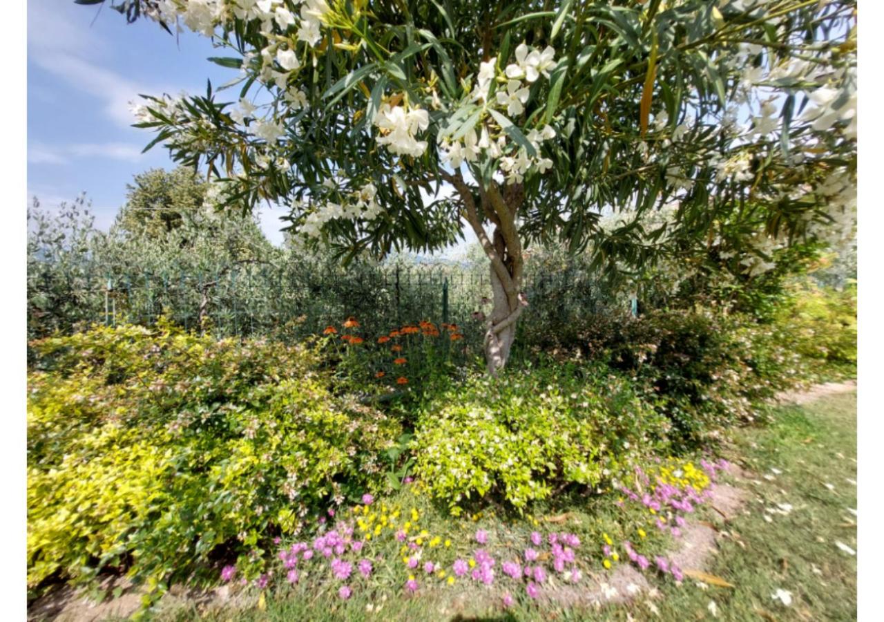 Photo 40
