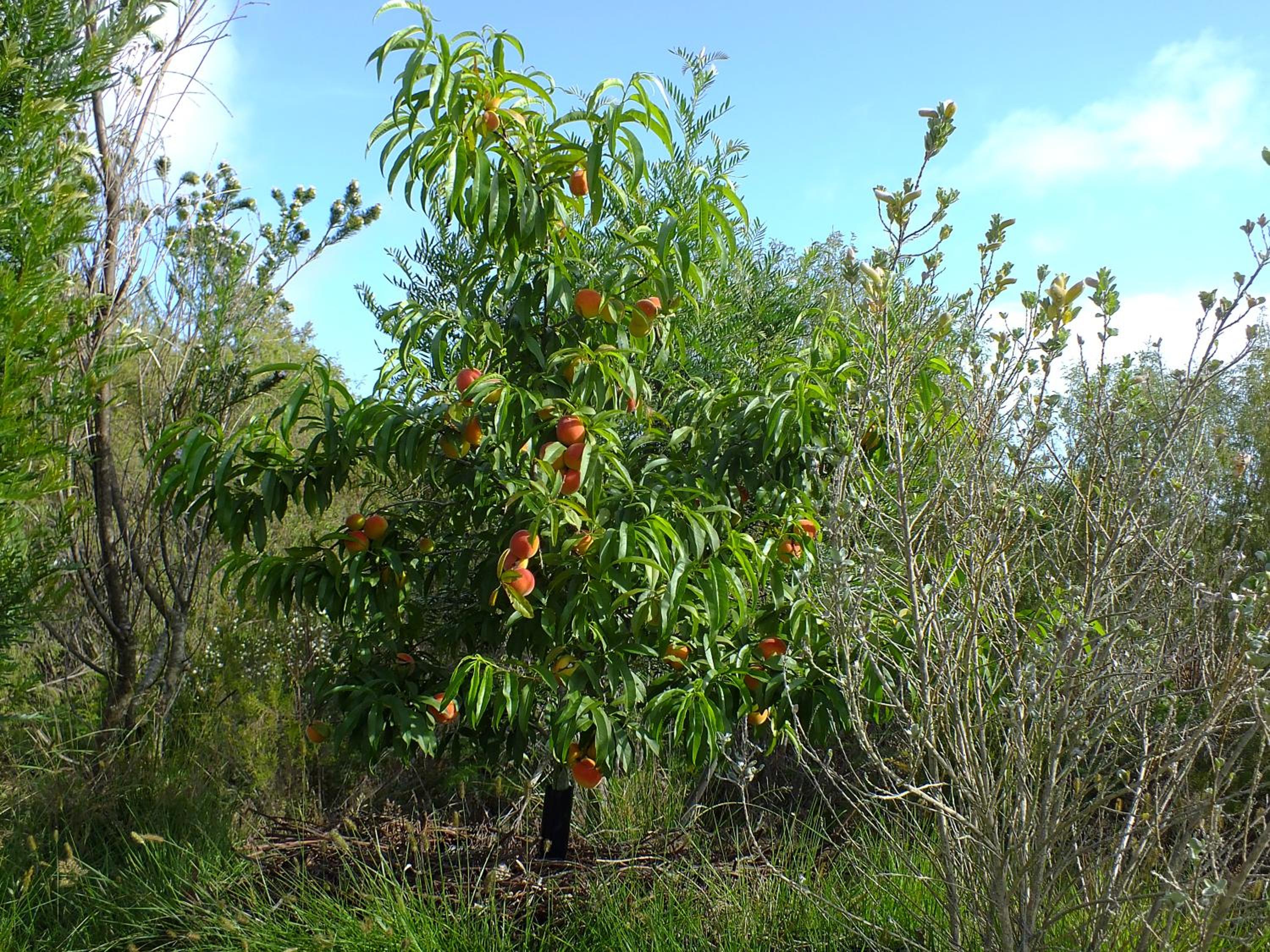 Photo 23