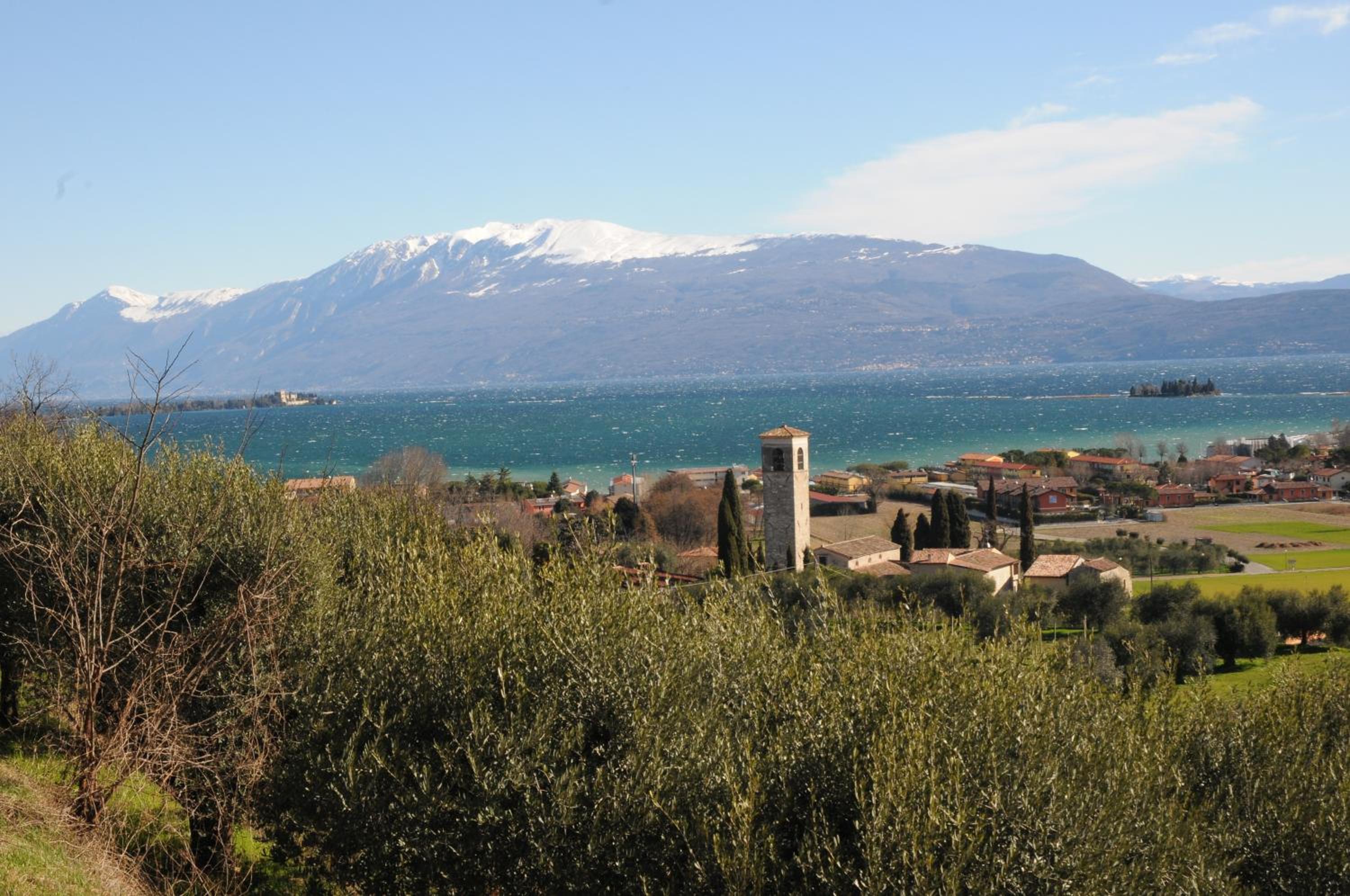 Photo 25