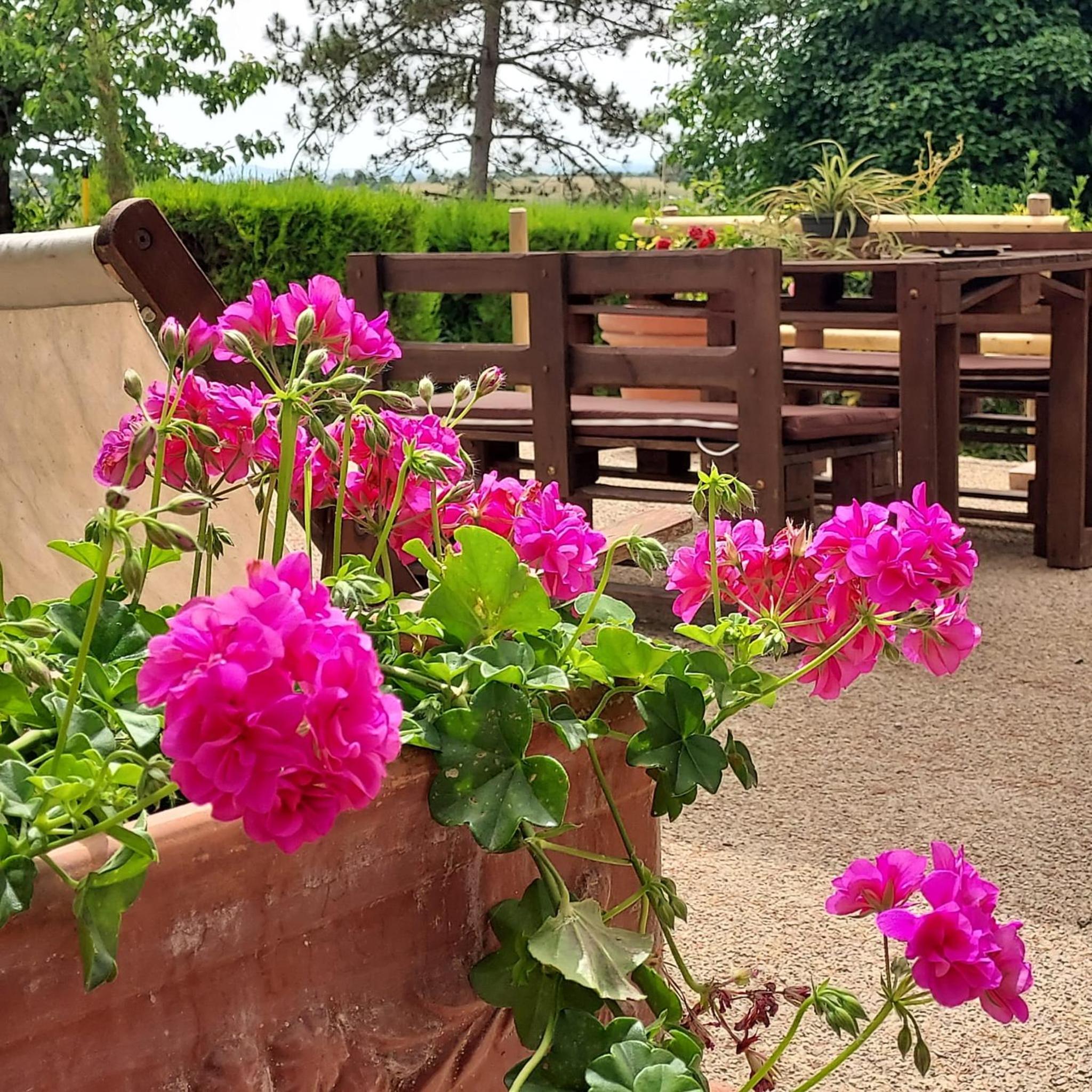 Agriturismo Il Colle