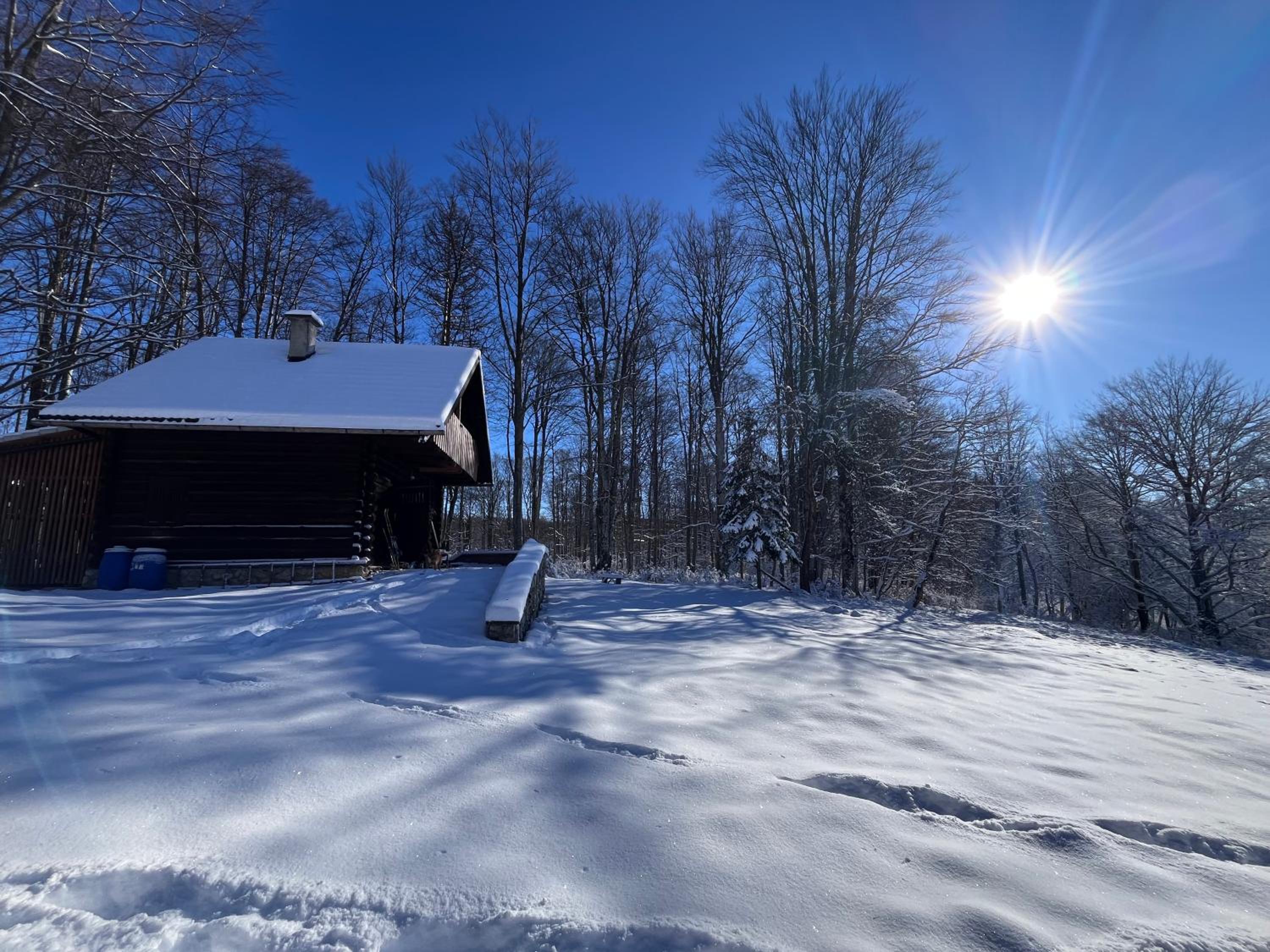 Somova gora chalet in the woods
