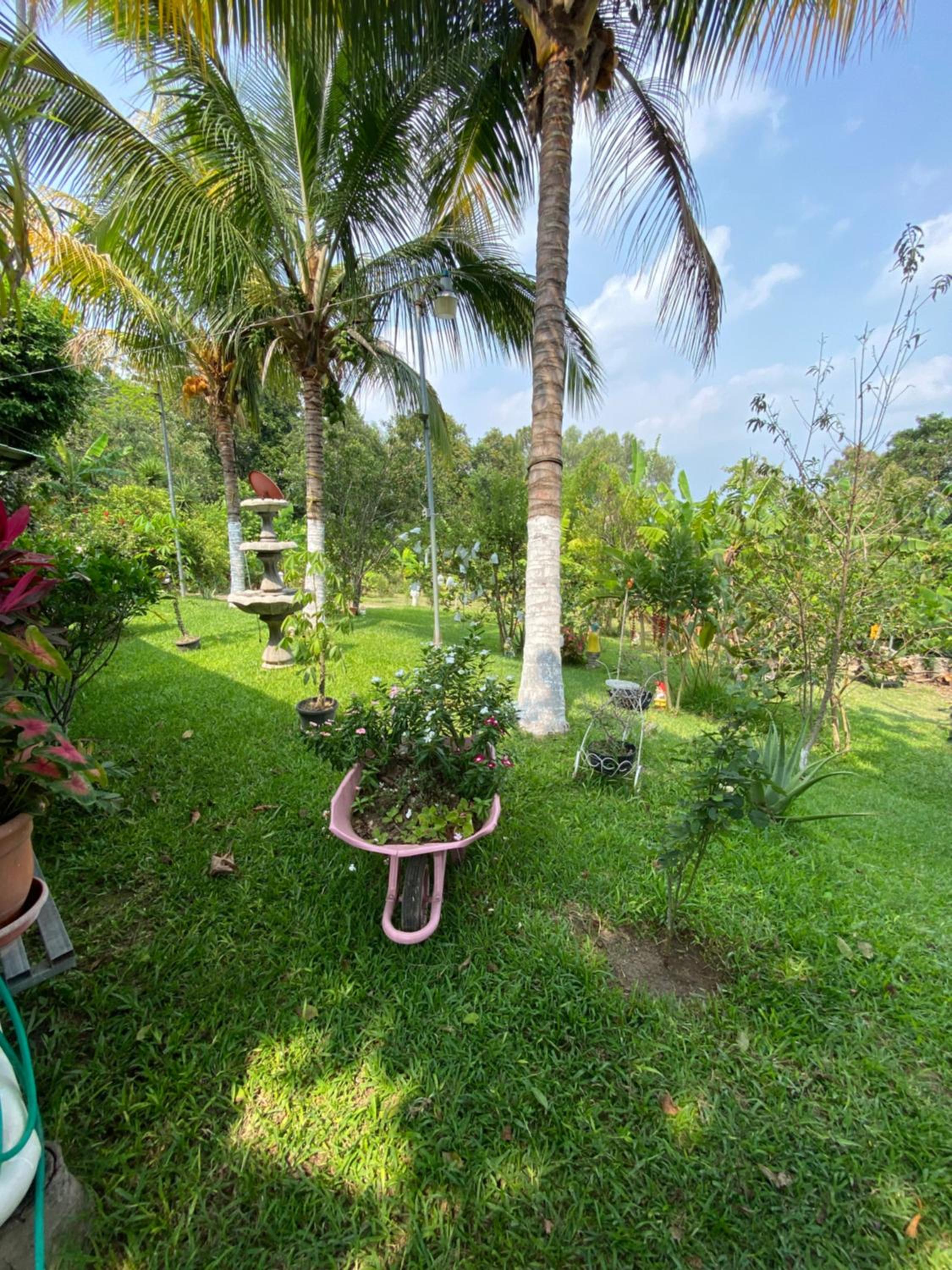 Finca Montecristo