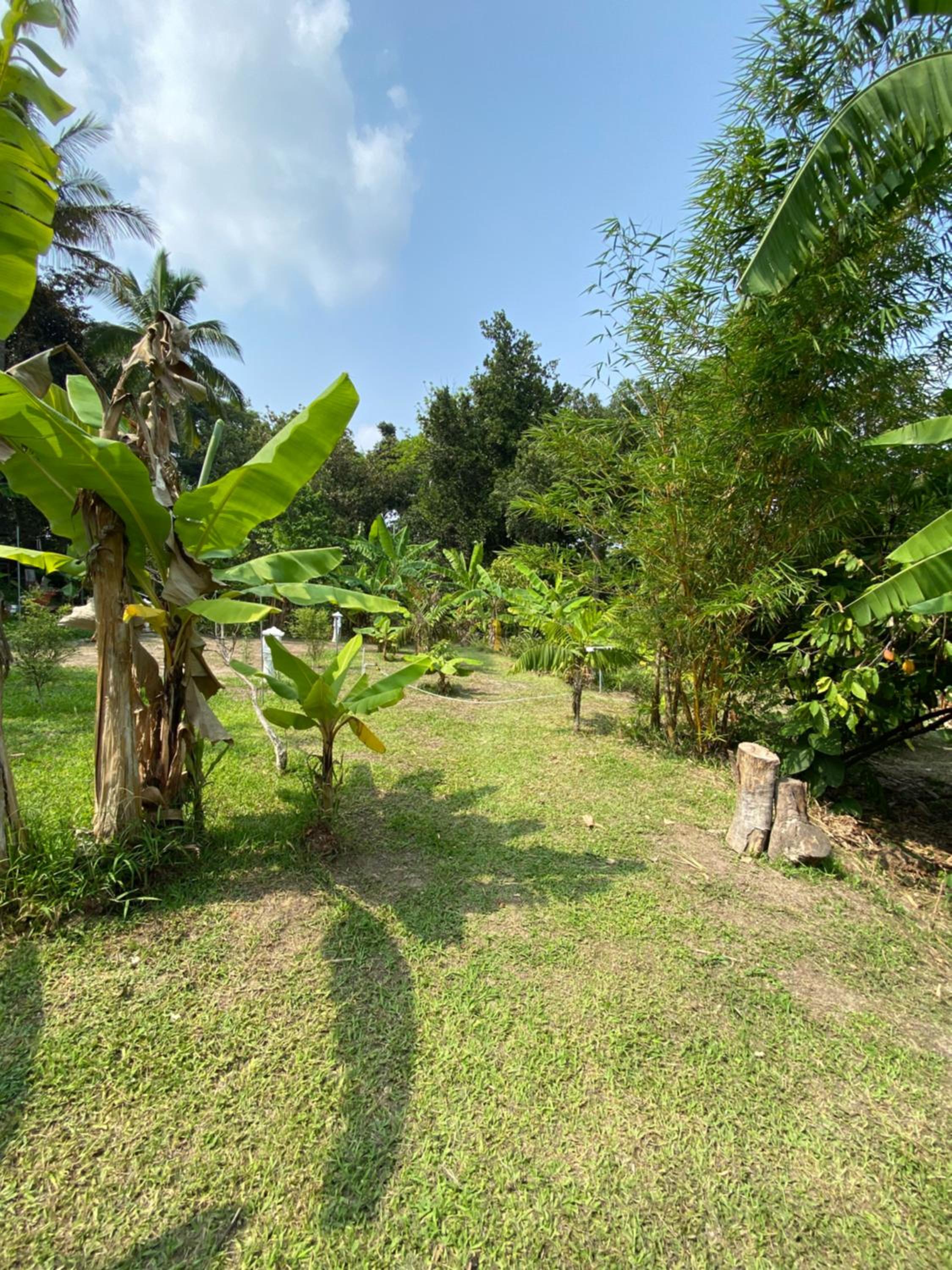 Finca Montecristo