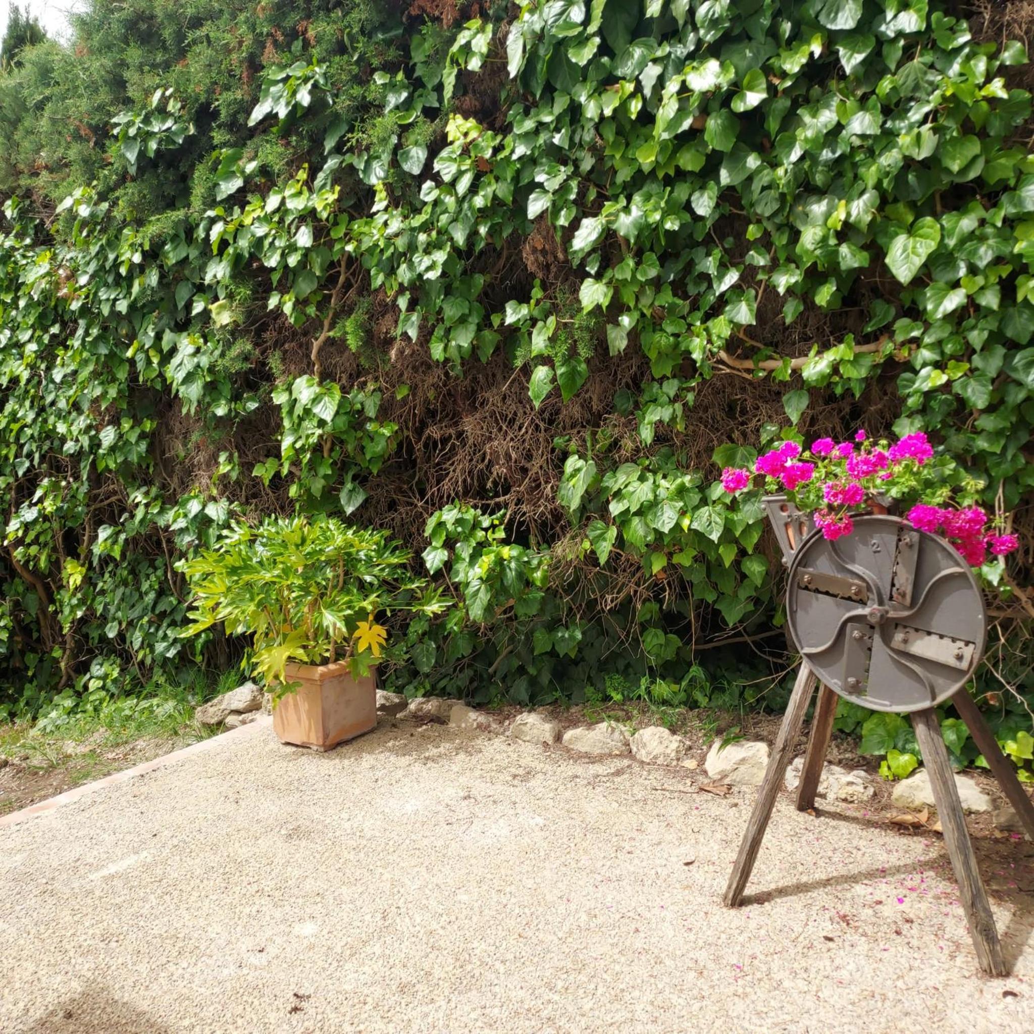 Agriturismo Il Colle