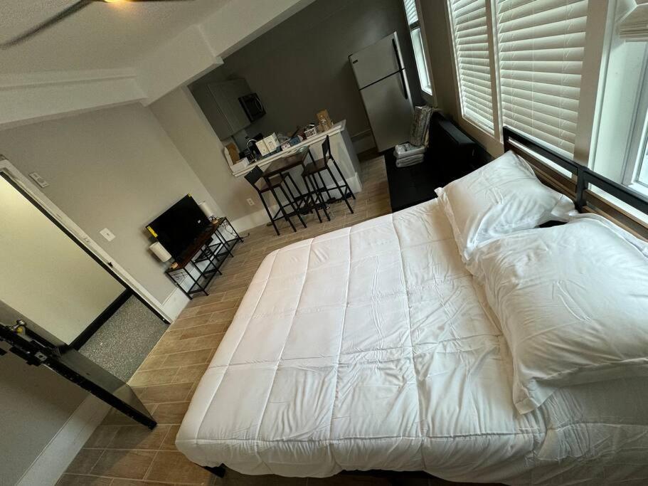 Cozy New Studio in Dupont, DC photo 3