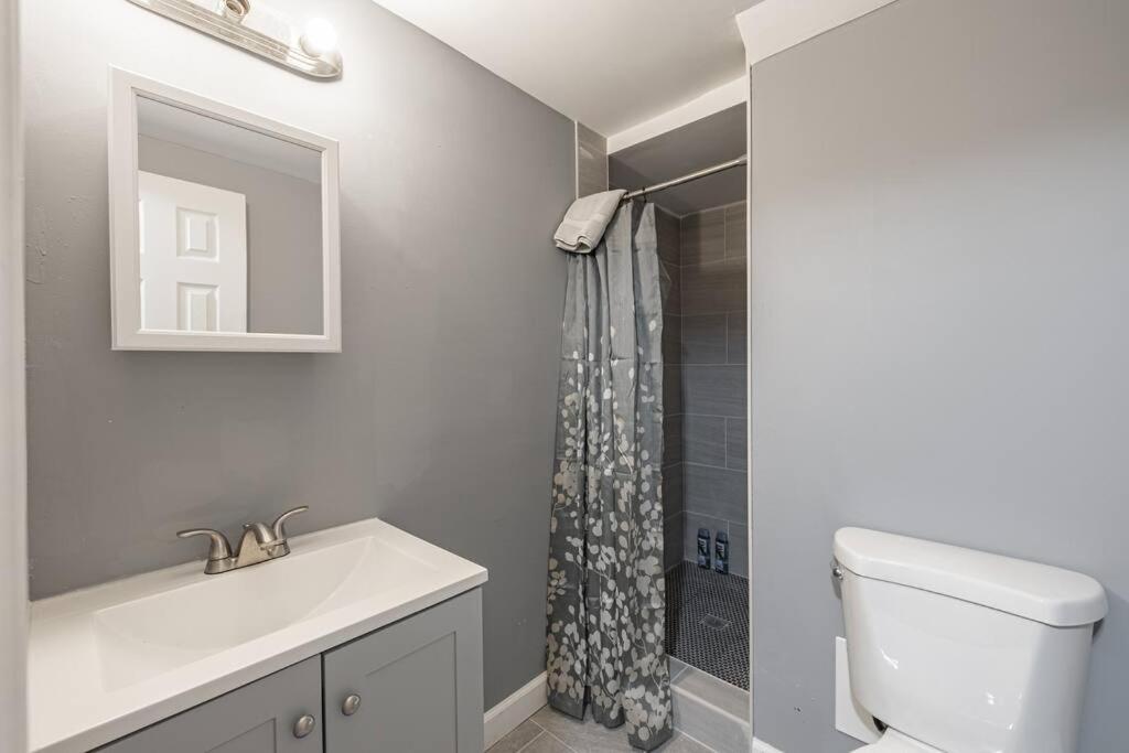 Cozy New Studio in Dupont, DC photo 4