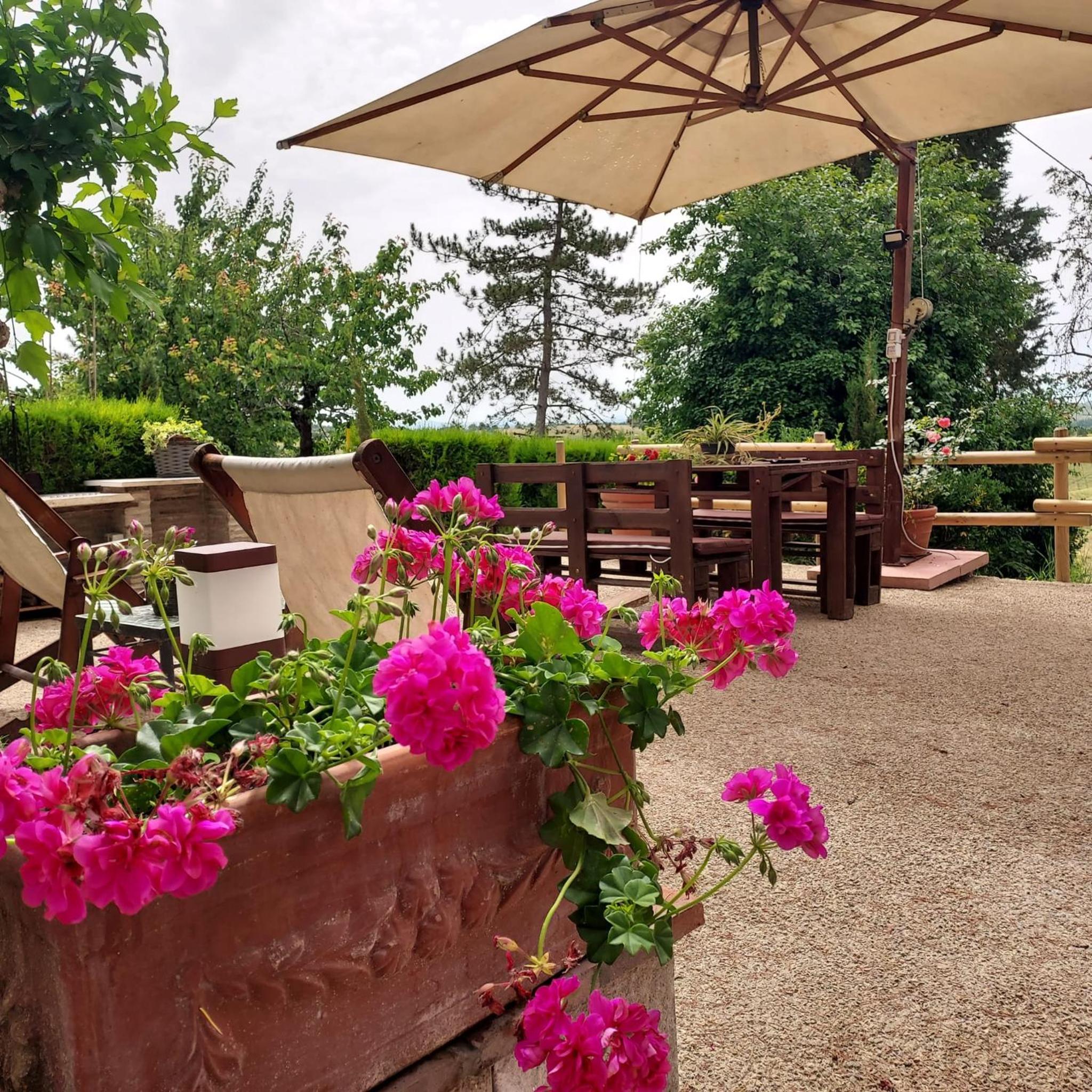 Agriturismo Il Colle