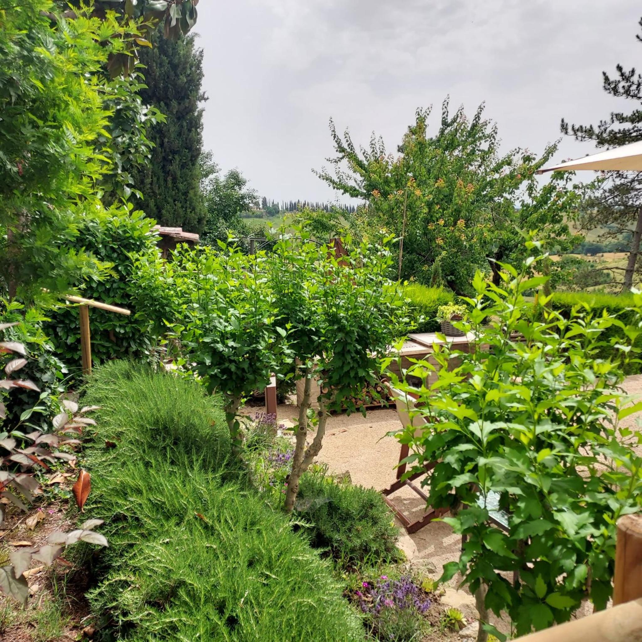Agriturismo Il Colle