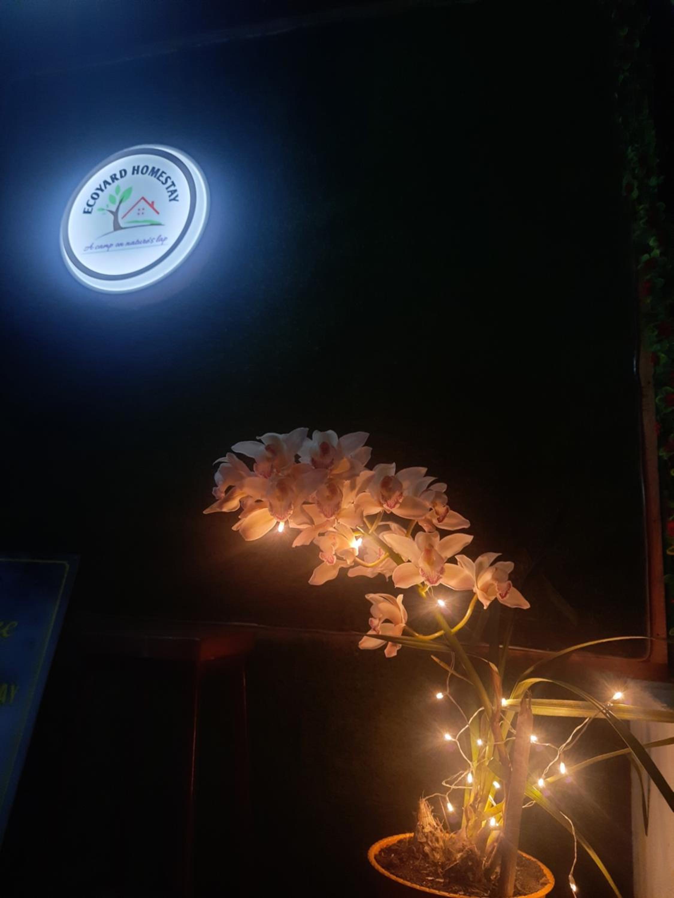 ECOYARD Homestay