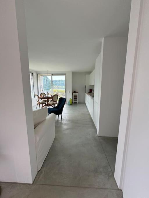 Neue Gartenwohnung mit Sicht auf den Luganersee