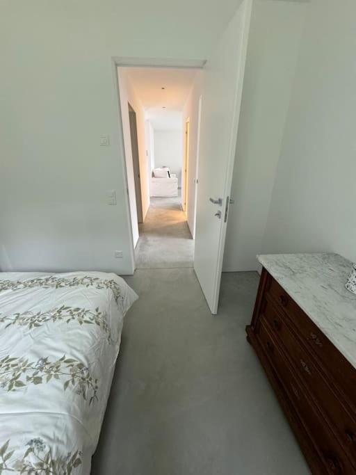 Neue Gartenwohnung mit Sicht auf den Luganersee