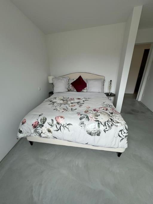 Neue Gartenwohnung mit Sicht auf den Luganersee