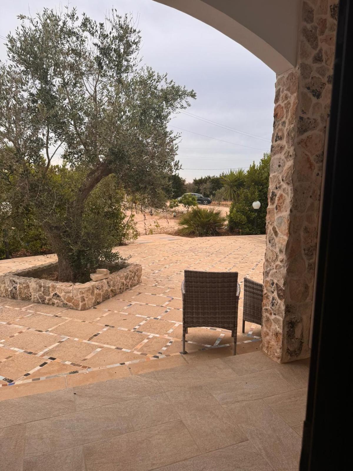 Agriturismo Masseria Pallanzano CON PISCINA view 3