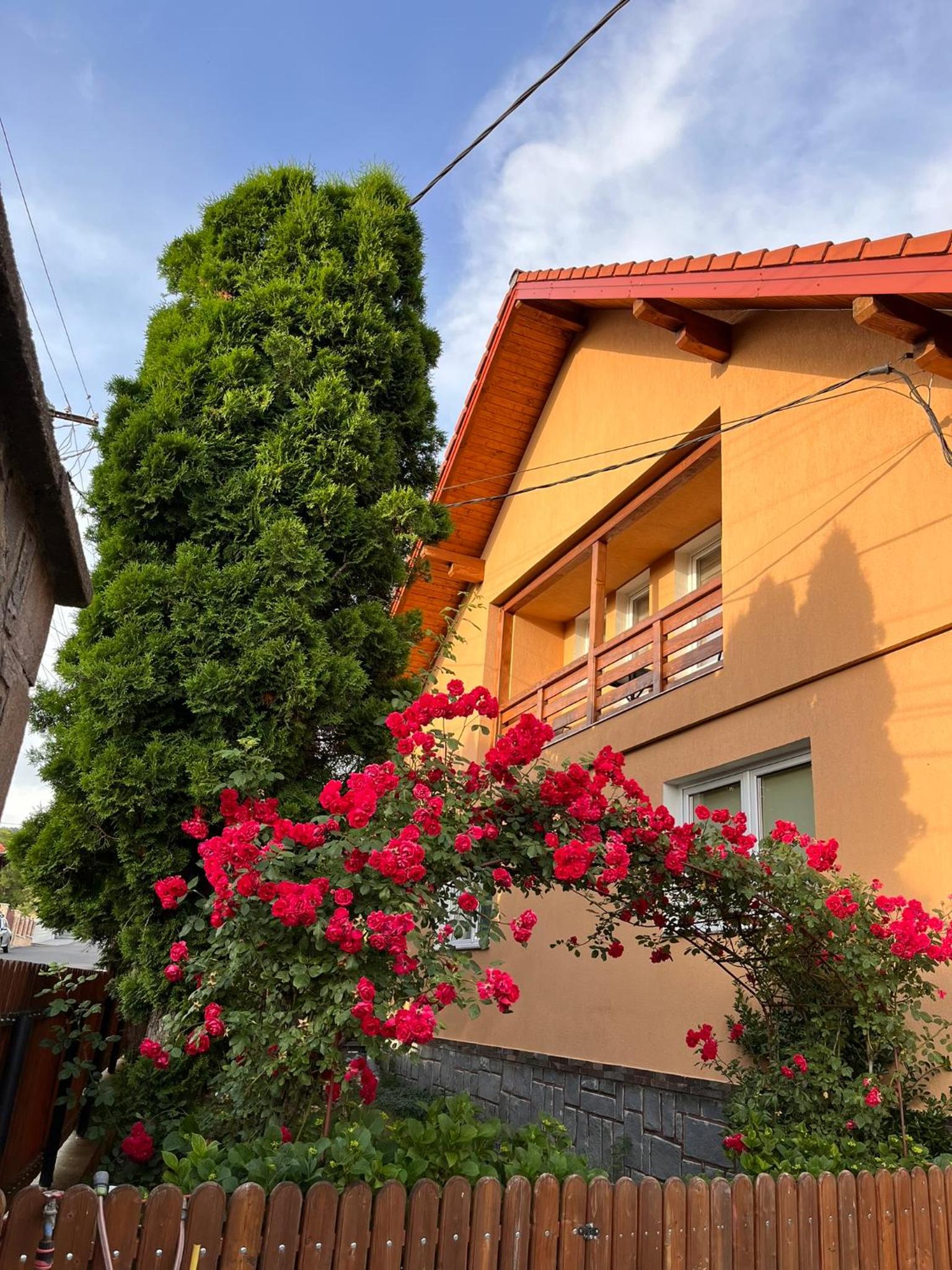 Casa Timea Vendégház