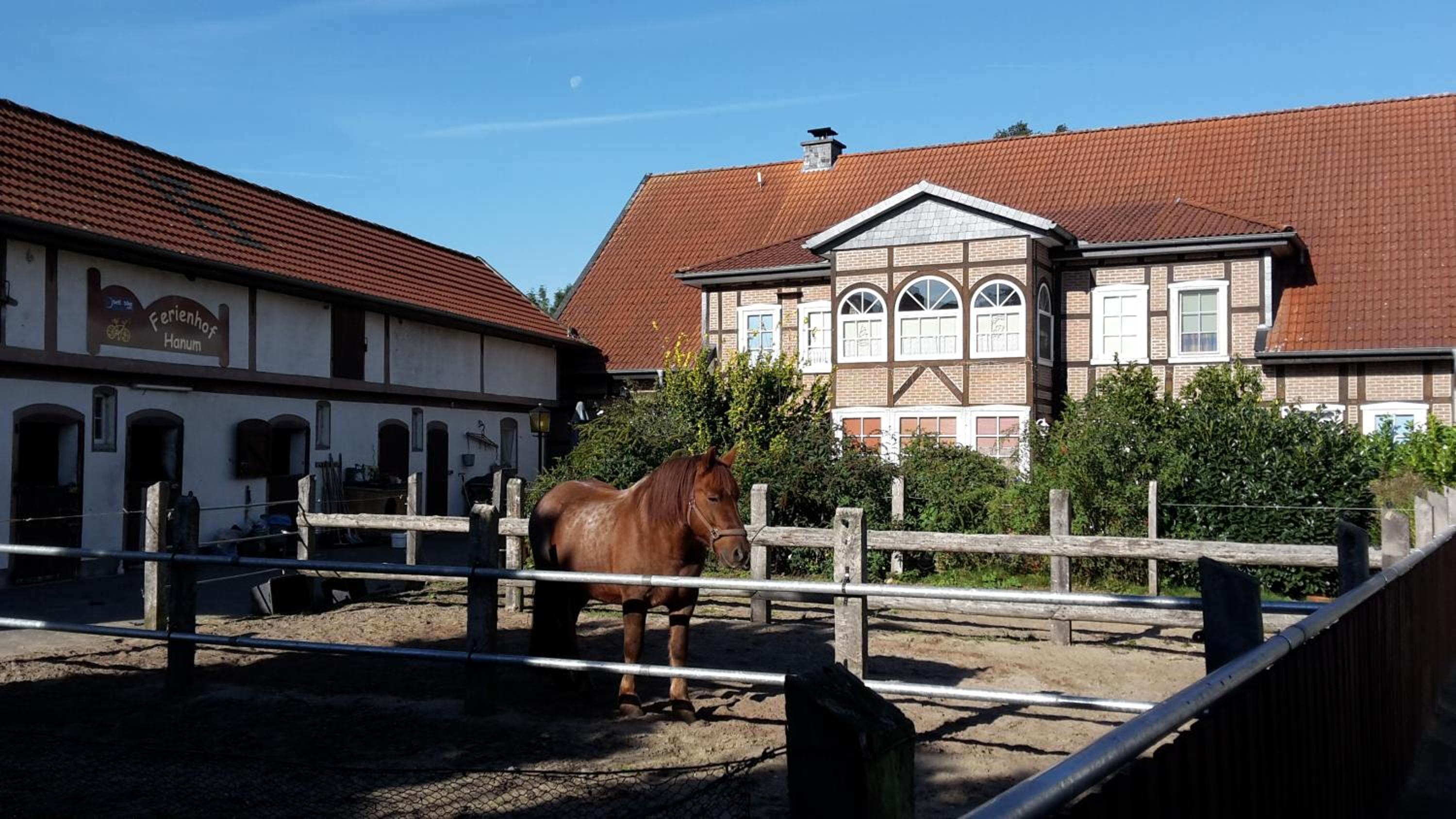 Ferienhof Hanum - Property Image 17