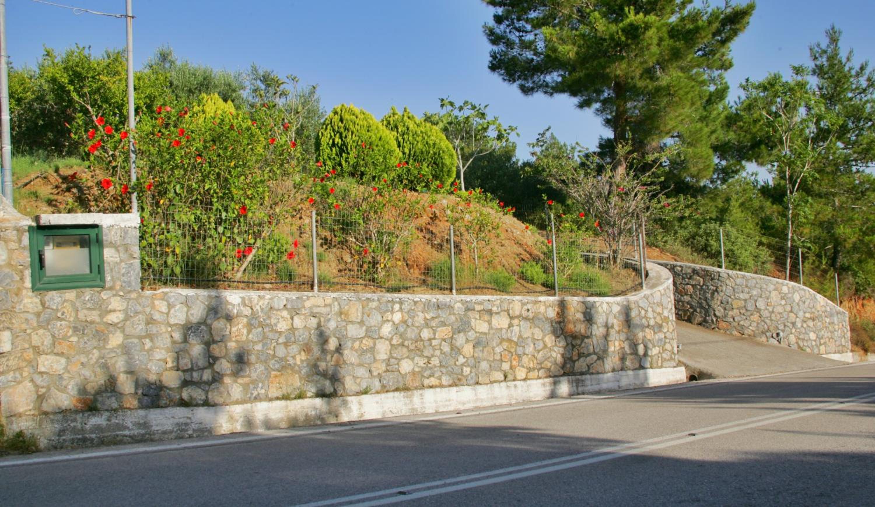 Dora's House view 5