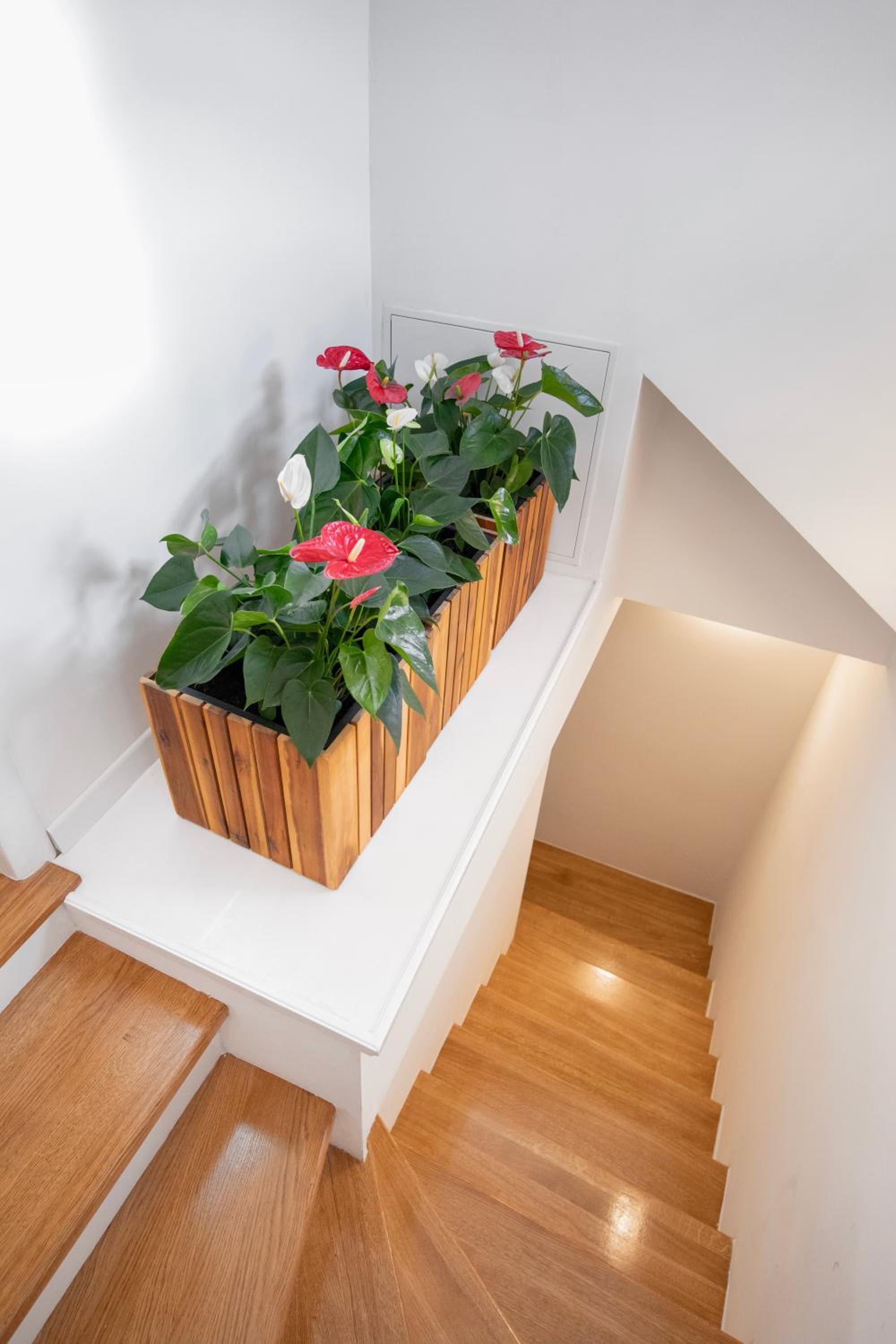 Palazzo Maineri Luxury Loft